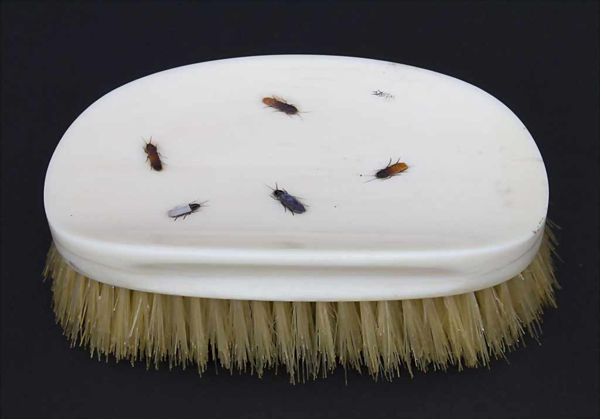 Kleiderbürste / A clothes brush, Okimono mit Shibayama-Insekten, Meiji-Periode, Japan, um