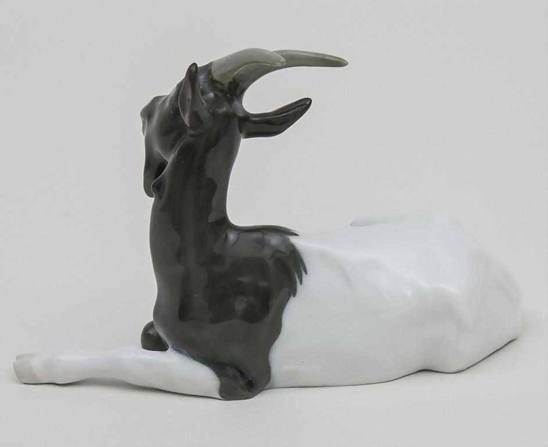 Tierplastik 'Ziege' / A Goat, Meissen, Pfeifferzeit (1924-1934)sitzende Ziege naturalistisch - Bild 2 aus 3