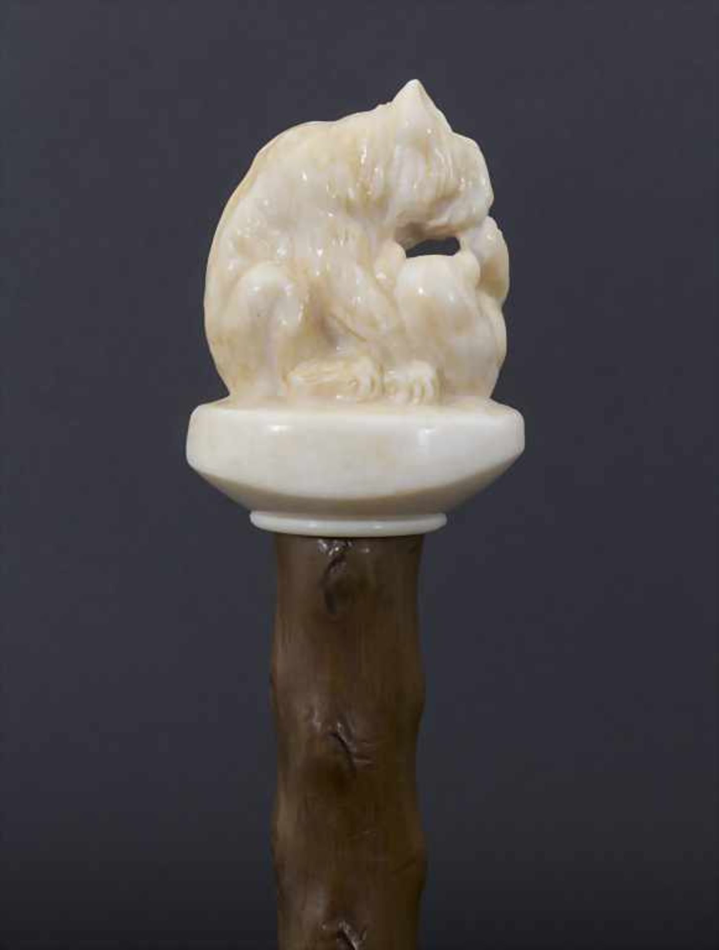 Gehstock mit Elfenbeingriff 'Spielende Hunde' / A cane with ivory handle 'playing dogs', um - Bild 3 aus 5