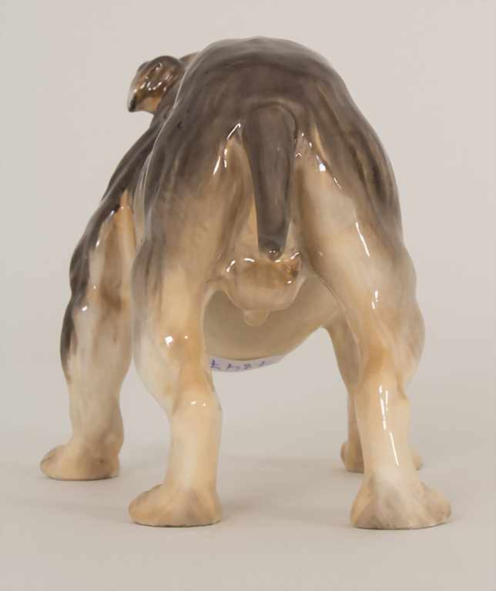 Französische Bulldogge mit Halsband / A male bulldog / French dog hound, Royal Doulton, Mitte 20. - Bild 5 aus 7