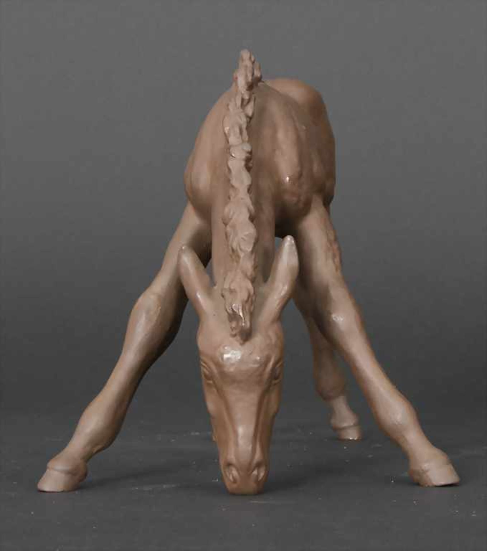 Tierfigur 'Grasendes Fohlen' / An animal figure of a grazing foal, Meissen, 20. Jh.Material: - Bild 3 aus 6