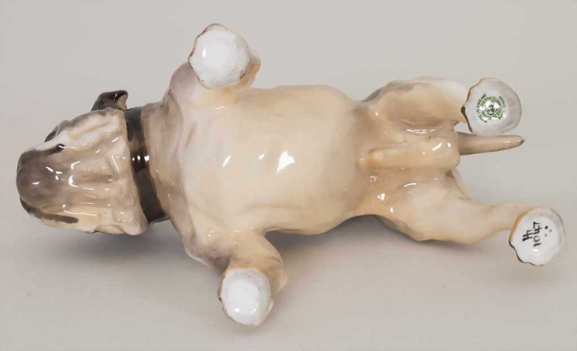 Französische Bulldogge mit Halsband / A male bulldog / French dog hound, Royal Doulton, Mitte 20. - Bild 6 aus 7