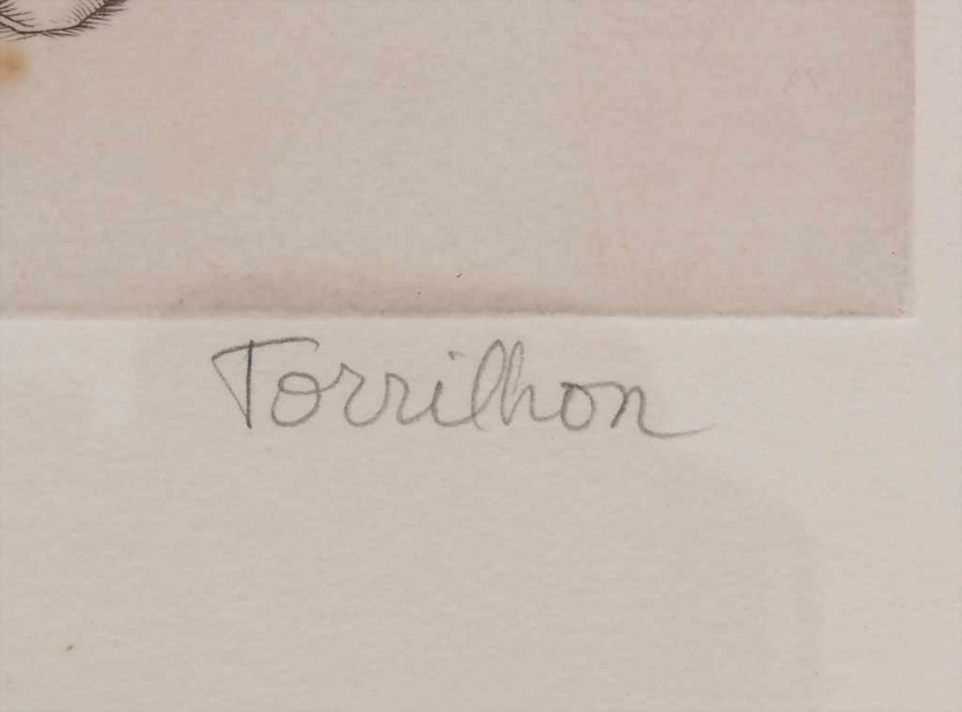 Tony Torrilhon (*1931), 'Blumenstrauß' / 'A flower bouquet'Technik: Kupferstich auf Velin, - Bild 3 aus 4