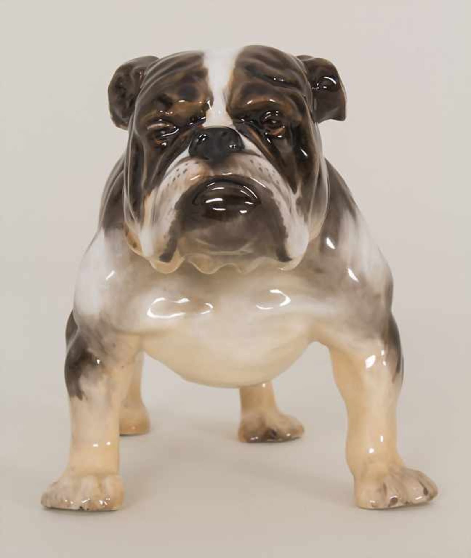 Französische Bulldogge mit Halsband / A male bulldog / French dog hound, Royal Doulton, Mitte 20. - Bild 4 aus 7