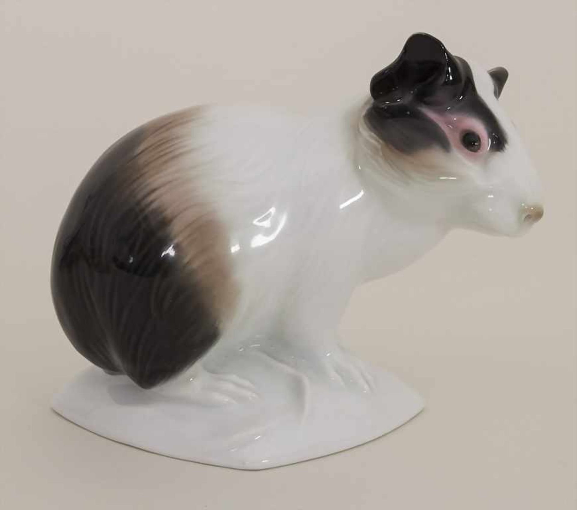 Seltenes Meerschweinchen / A rare guinea pig, Karl Ens, Volkstedt, um 1920Material: Porzellan,