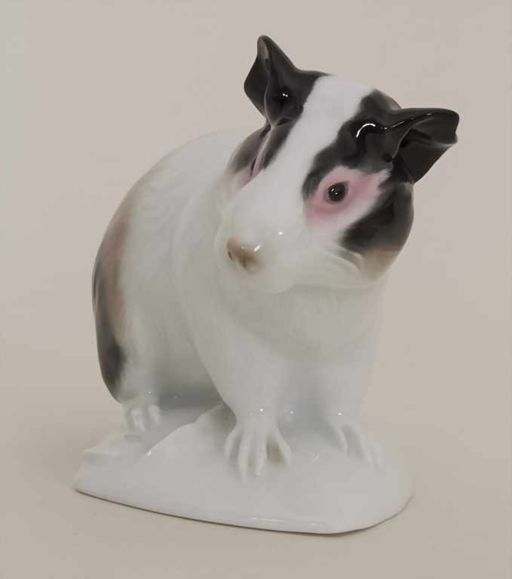 Seltenes Meerschweinchen / A rare guinea pig, Karl Ens, Volkstedt, um 1920Material: Porzellan, - Bild 4 aus 6