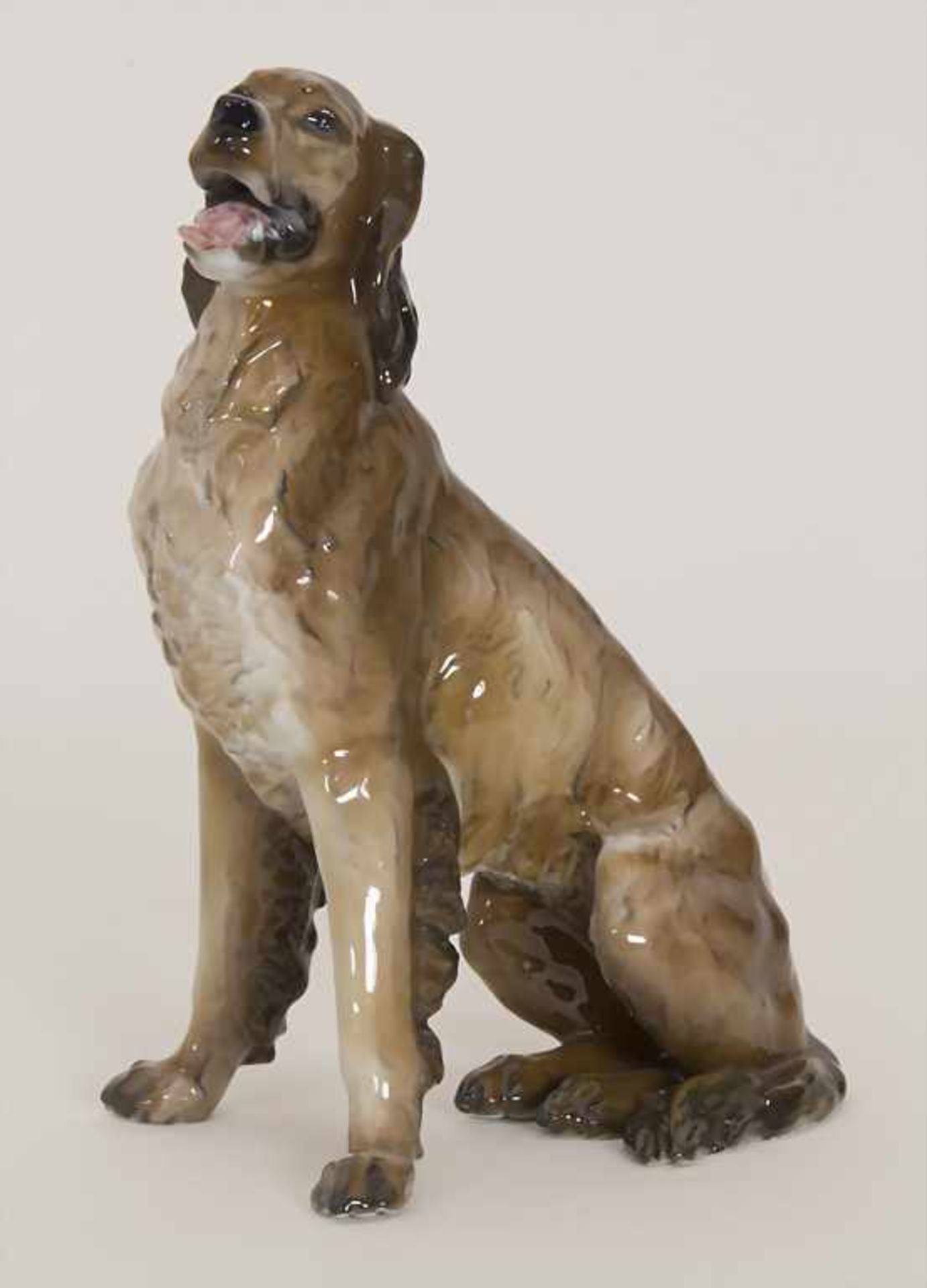 Tierfigur Irish Setter 'DAPHNE' / The sitting Irish setter 'DAPHNE', Fritz Heidenreich, Selb,