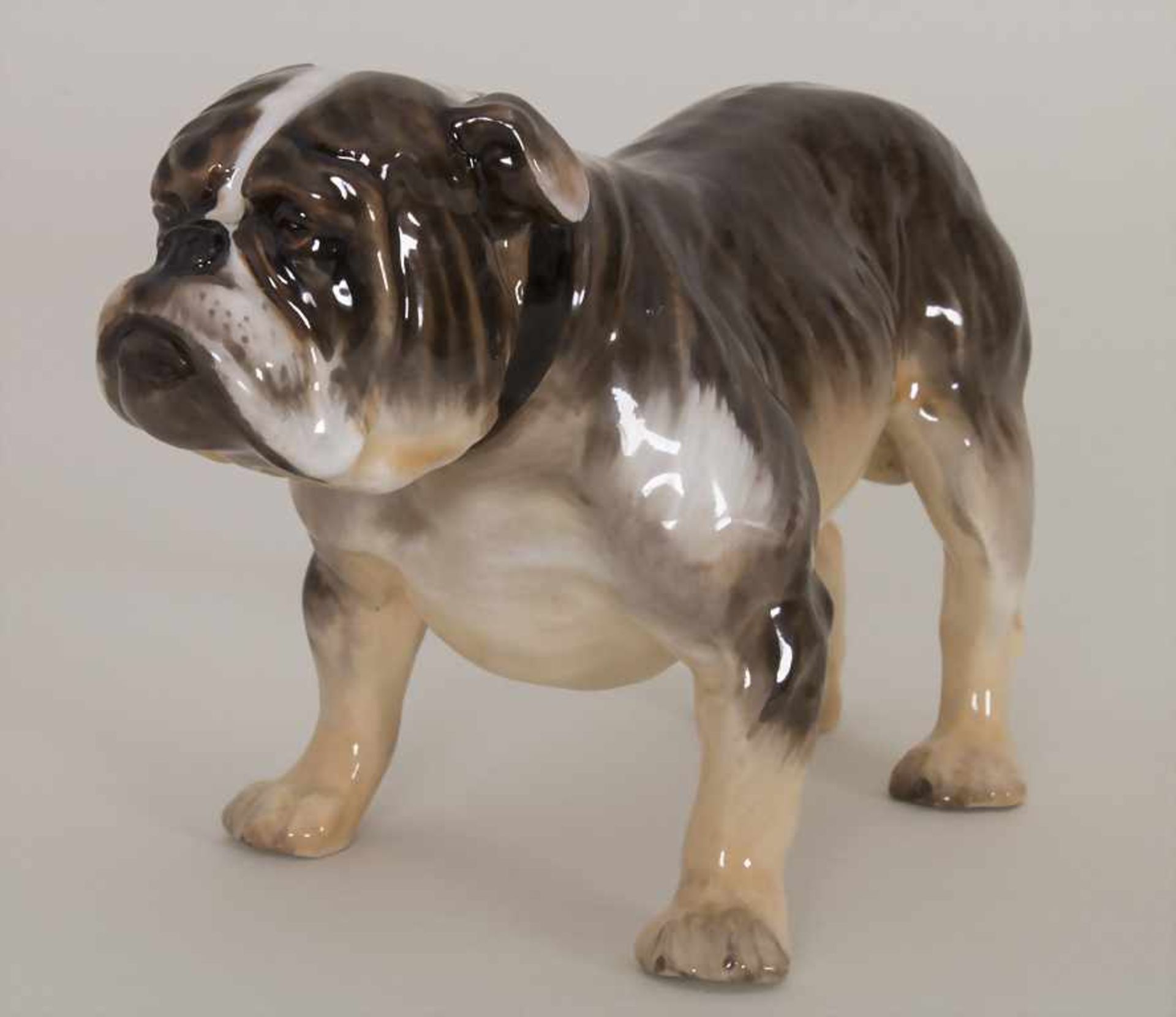 Französische Bulldogge mit Halsband / A male bulldog / French dog hound, Royal Doulton, Mitte 20.