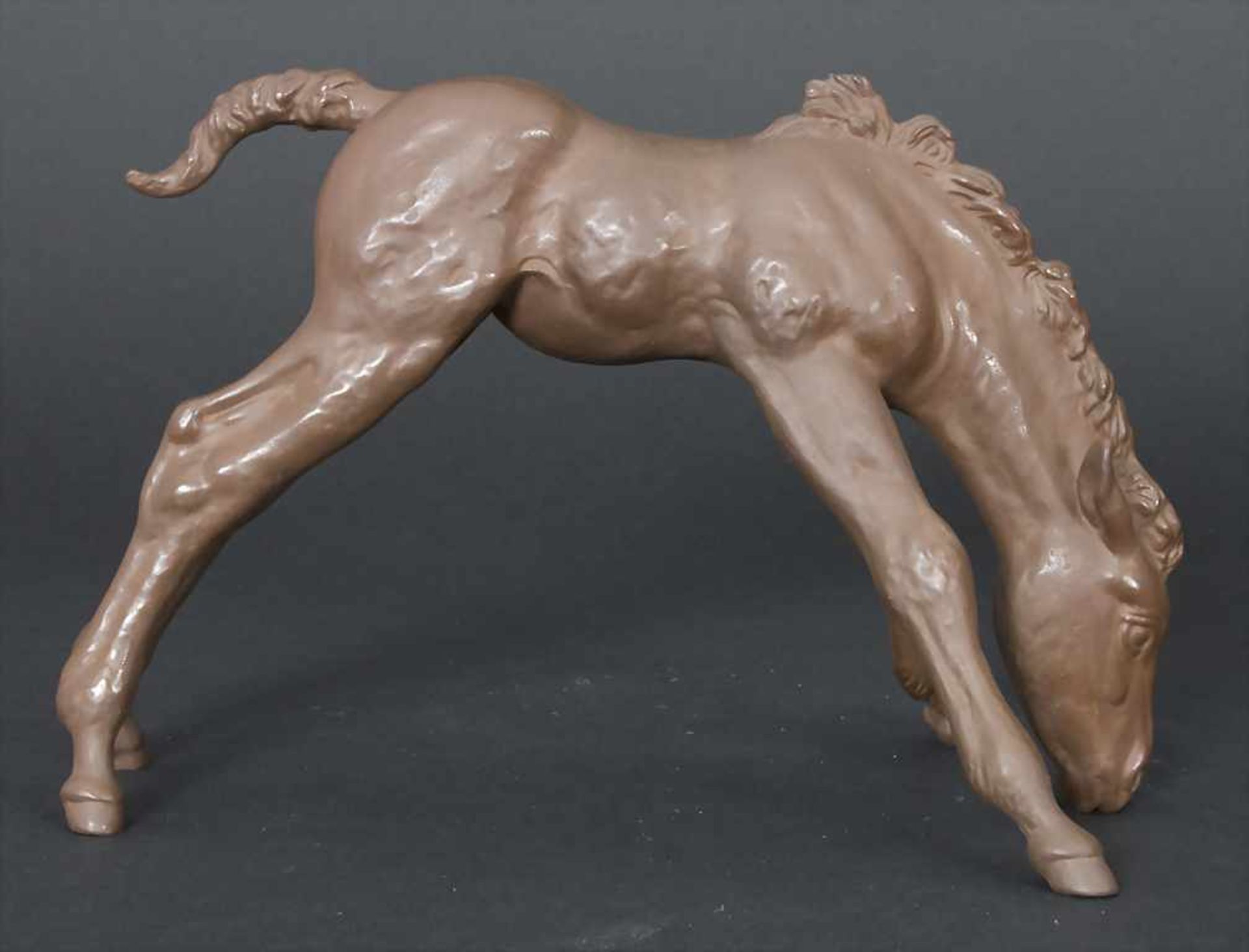 Tierfigur 'Grasendes Fohlen' / An animal figure of a grazing foal, Meissen, 20. Jh.Material: - Bild 2 aus 6