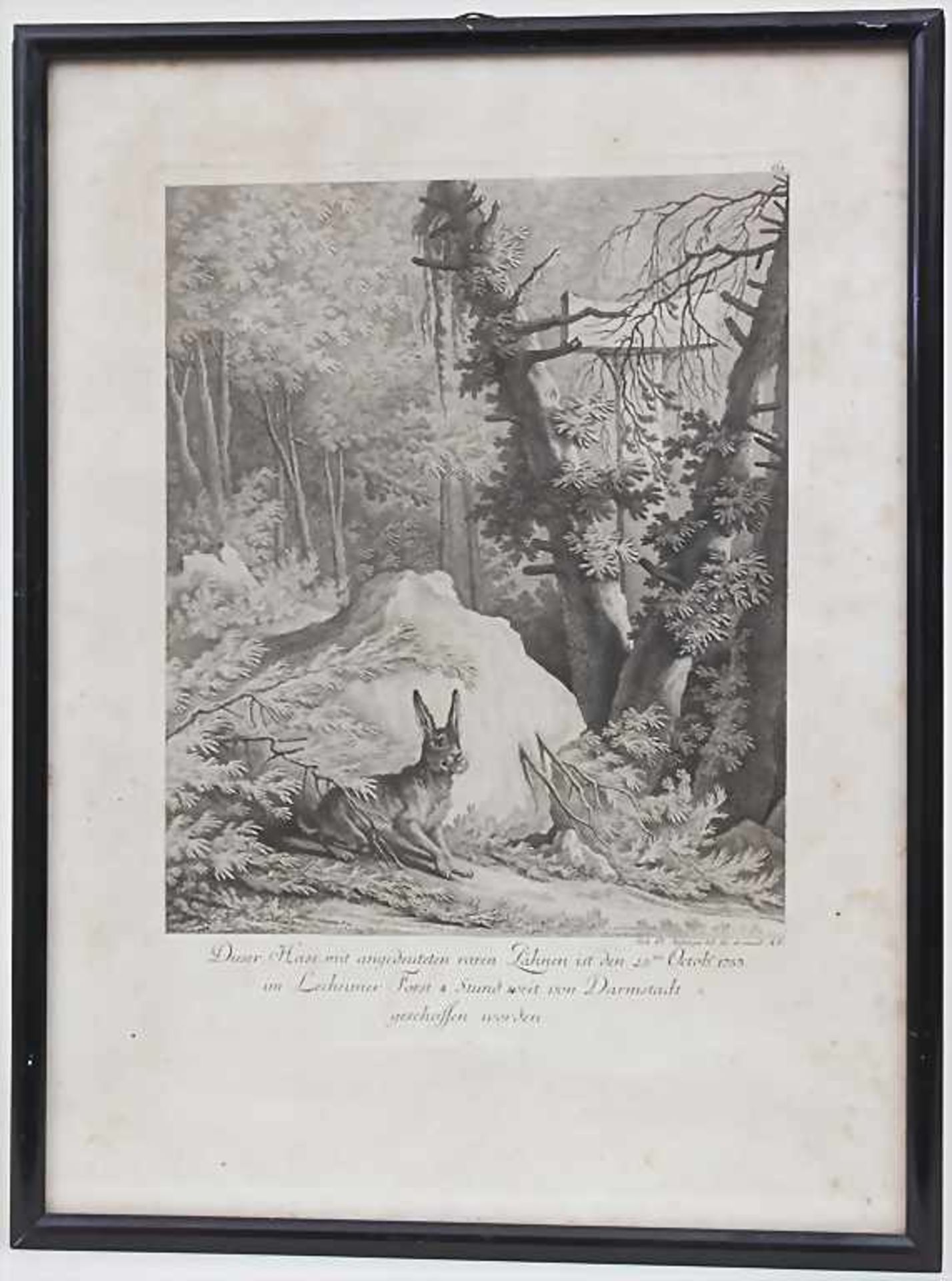 Johann Elias Ridinger (1698-1767), 'Dieser Hase mit angedeuteten raren Zähnen'< - Image 2 of 4
