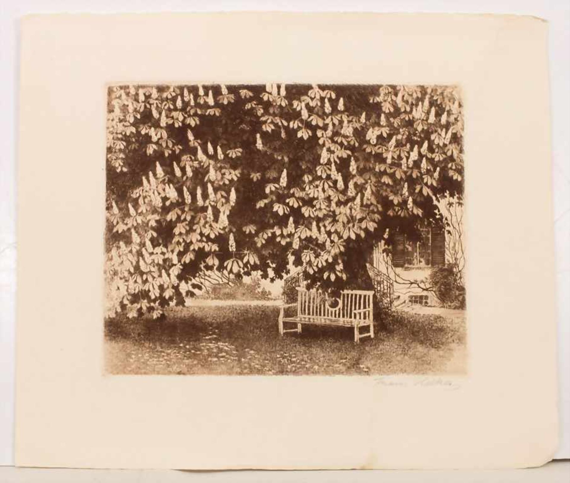 Franz Hecker (1870-1944), 'Kastanienbaum mit Parkbank' / 'A chestnut with a park bench' - Image 2 of 5