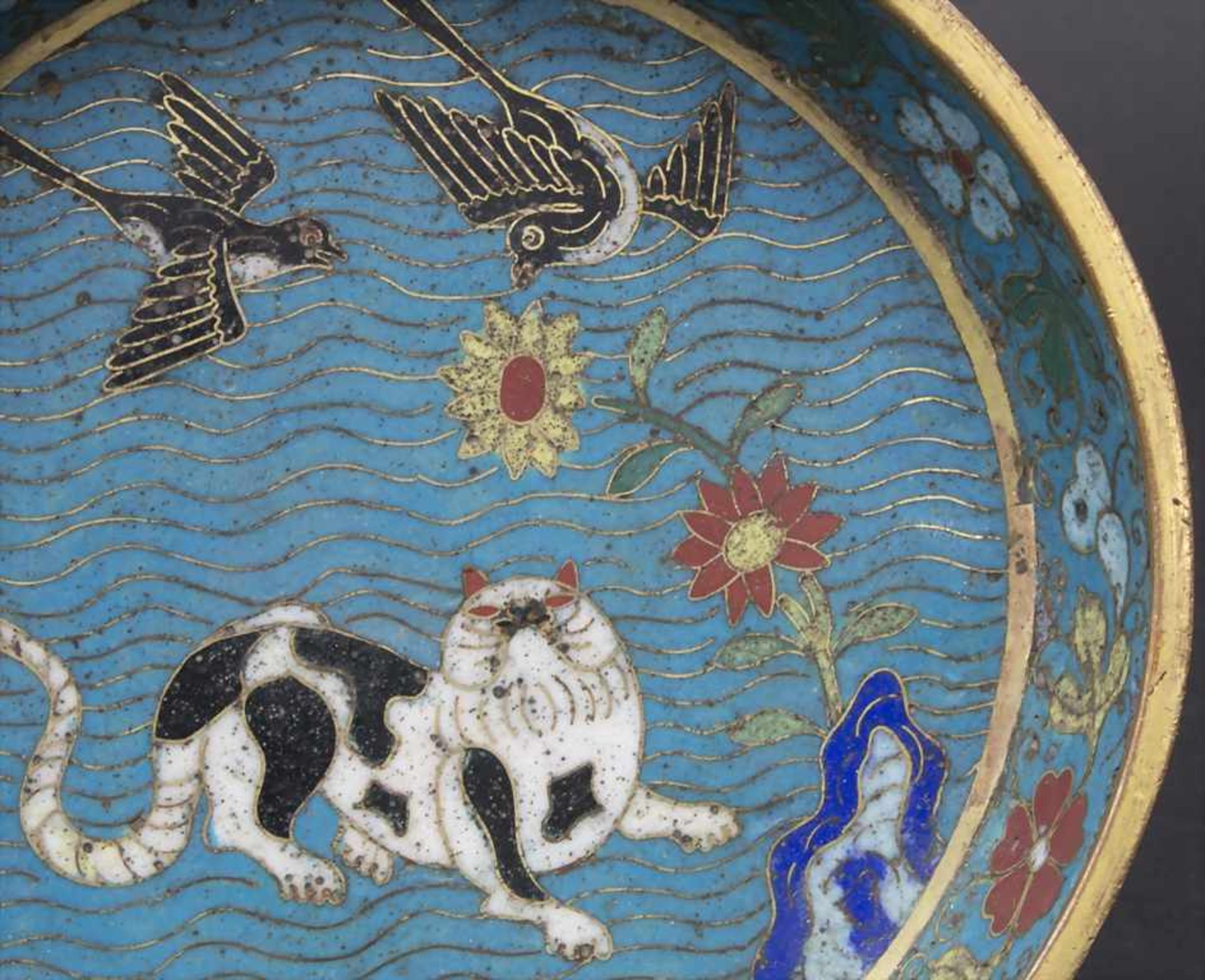 Cloisonné-Schale mit Fohund, Vögeln und Blütenstrauch / A cloisonné bowl with Fo dog, birds and - Image 2 of 6