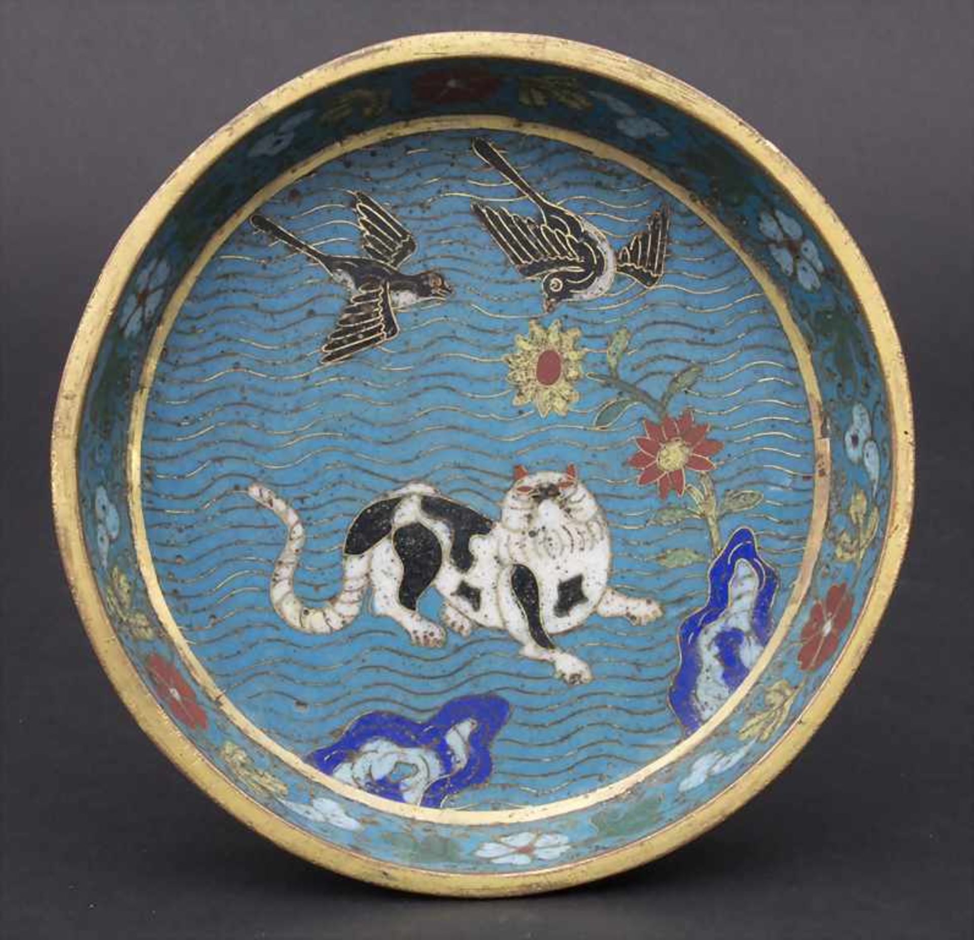 Cloisonné-Schale mit Fohund, Vögeln und Blütenstrauch / A cloisonné bowl with Fo dog, birds and