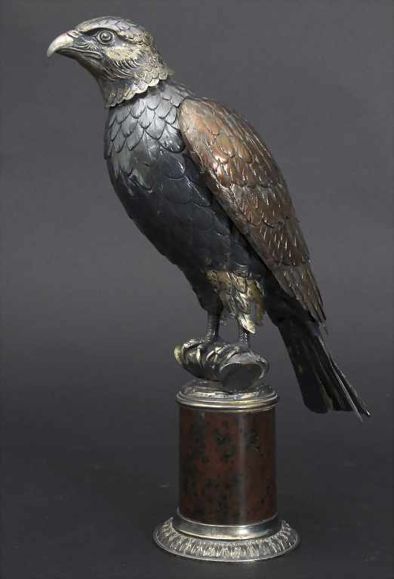 Falke / A falcon / Un faucon, J.D. Schleisner & Söhne, Hanau, um 1880<