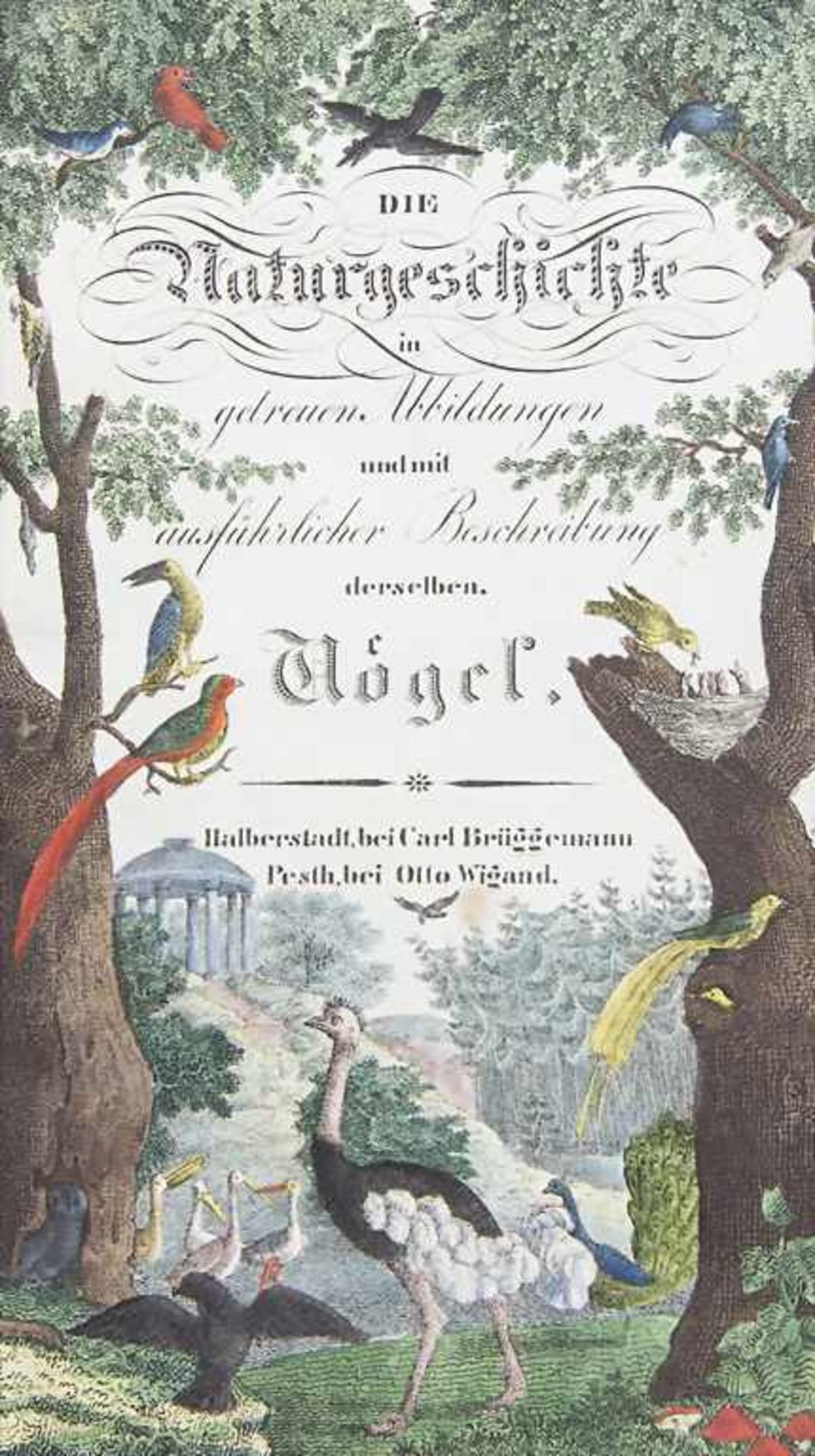 Anonymus: 'Die Naturgeschichte in getreuen Abbildungen und mit ausführlicher Beschreibung derselben. - Image 2 of 5