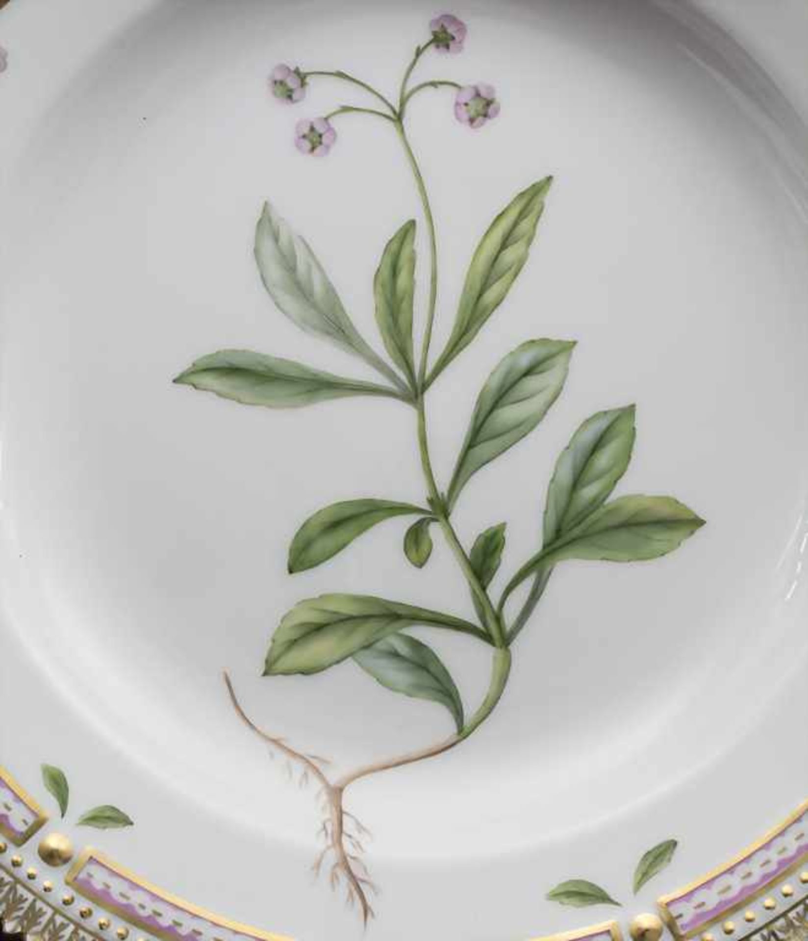 Teller mit Dolden-Winterlieb / A plate with common wintergreen, Flora Danica, Royal Copenhagen, - Image 2 of 6