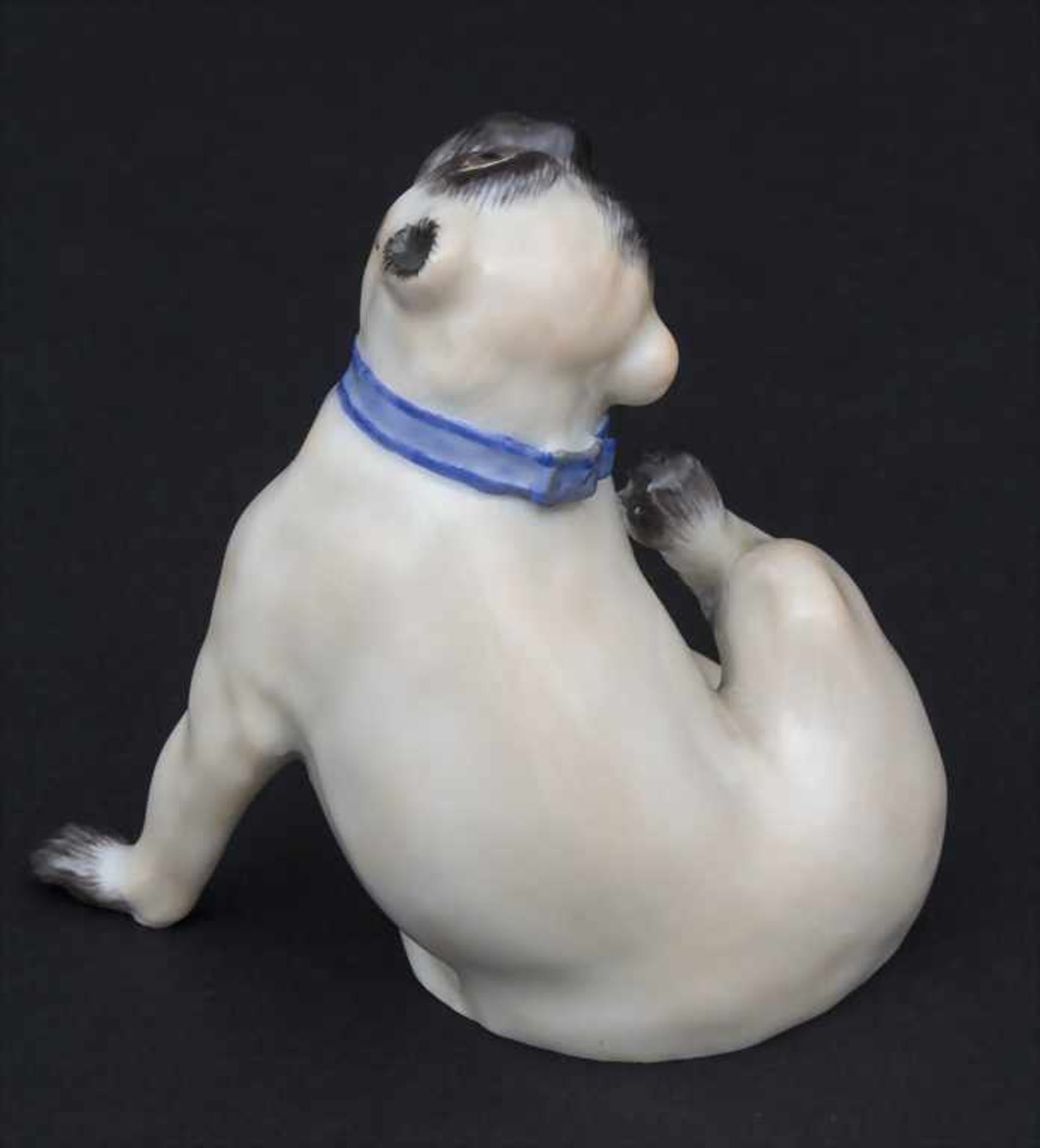 Ein Mops mit blauem Halsband / A pug dog with a blue collar, Meissen, Mitte 20. Jh. - Image 3 of 6