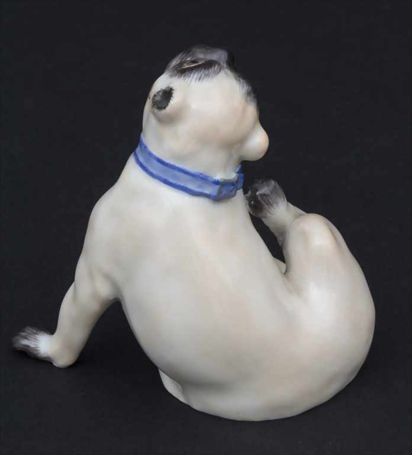 Ein Mops mit blauem Halsband / A pug dog with a blue collar, Meissen, Mitte 20. Jh. - Bild 3 aus 6