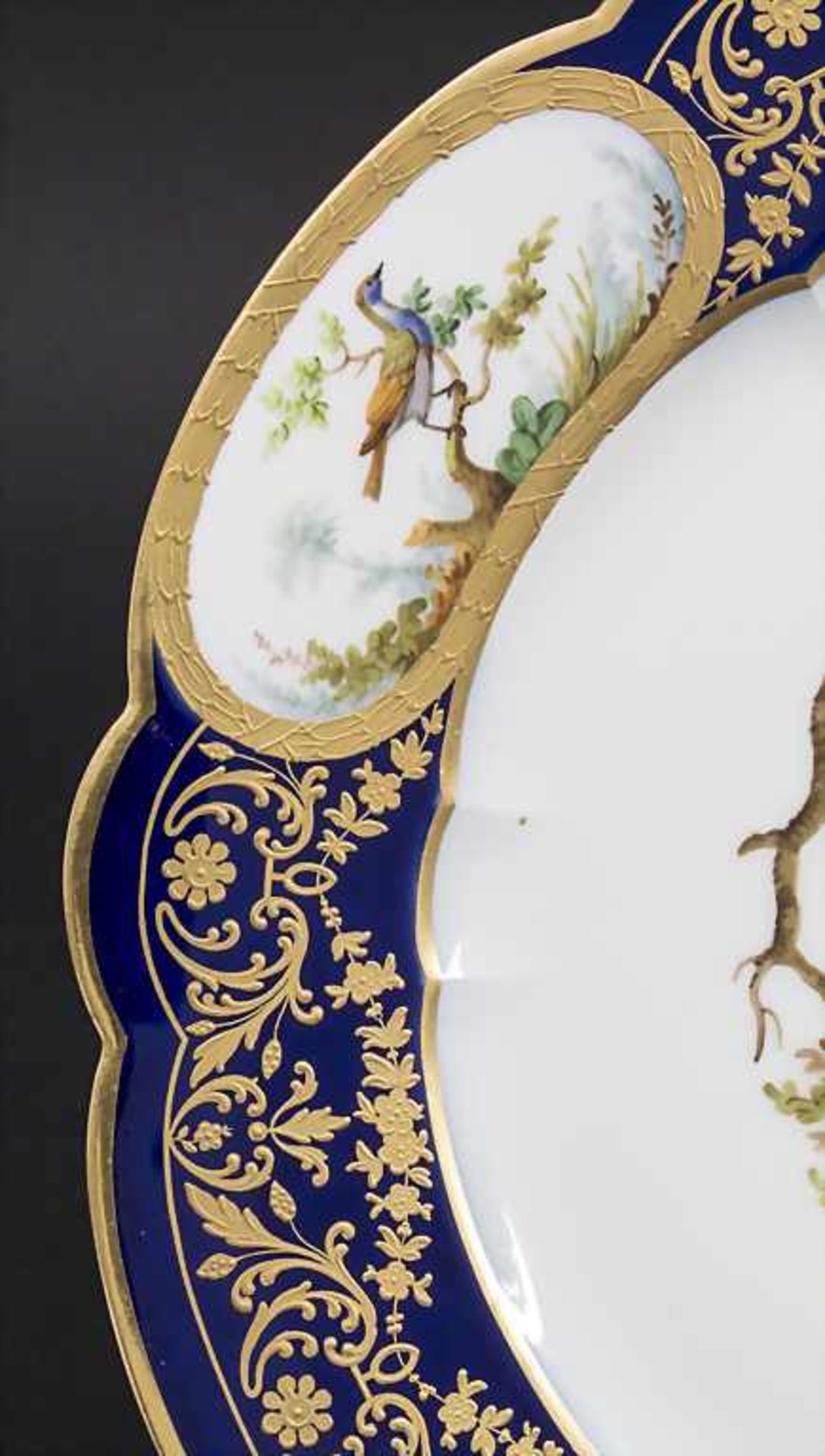 Teller mit Vogelmalerei / A bird plate, Sèvres, 1858-61 - Bild 5 aus 7