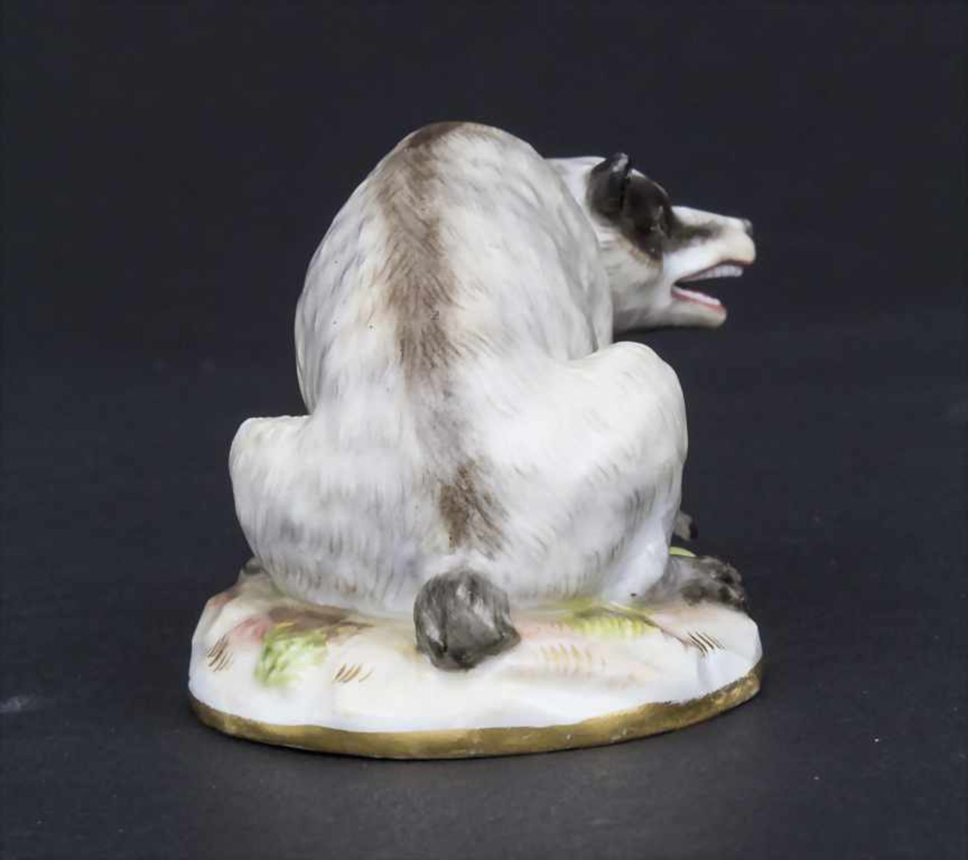 Seltene Tierfigur 'Dachs' / A rare animal figure of a badger, Meissen, Mitte 19. Jh. - Bild 5 aus 9