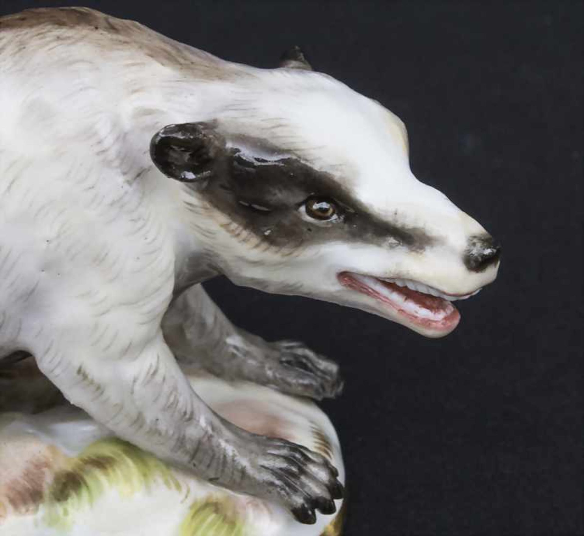 Seltene Tierfigur 'Dachs' / A rare animal figure of a badger, Meissen, Mitte 19. Jh. - Bild 7 aus 9