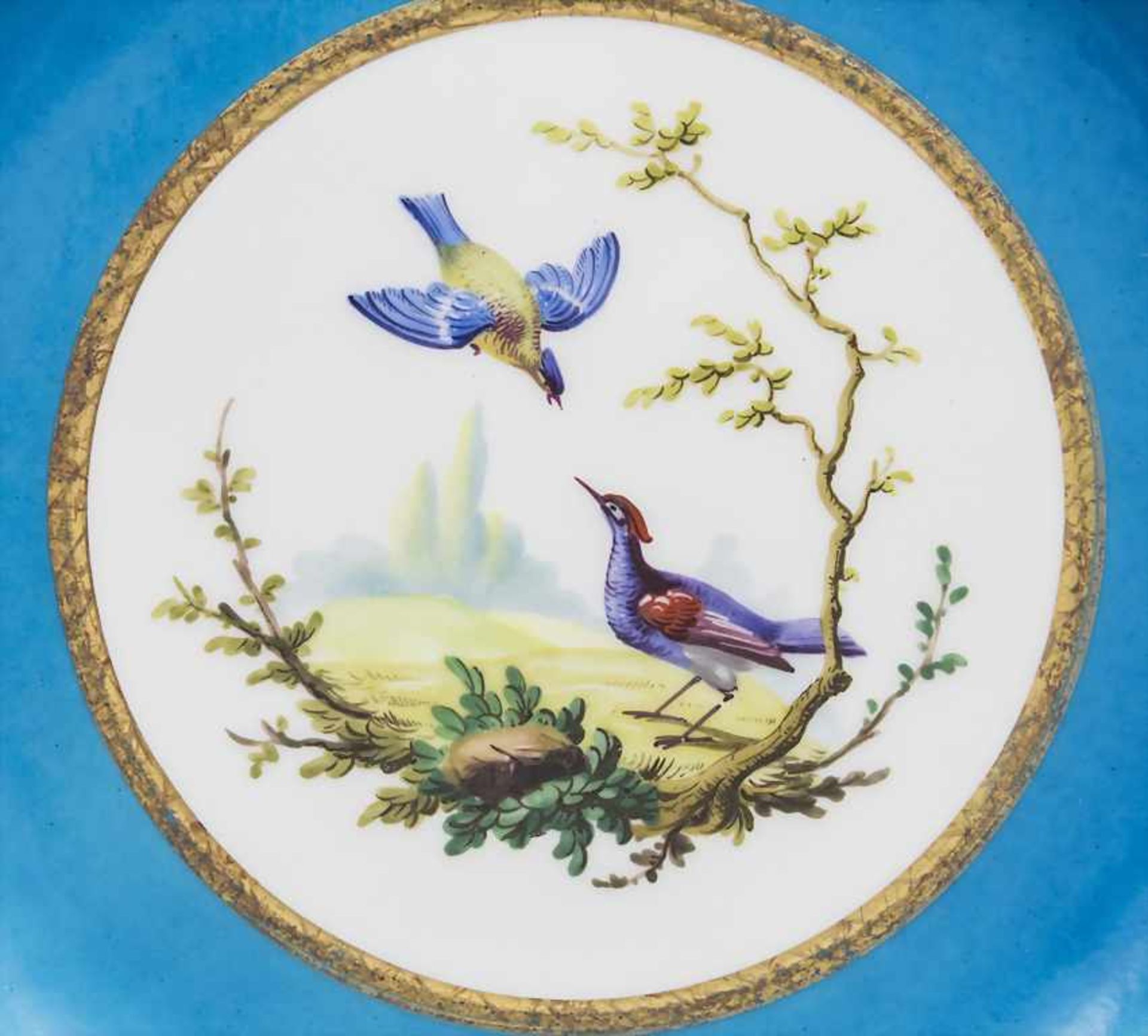 Paar 'Bleu Celeste' Teller mit Vogeldekor / A pair of 'Bleu Celeste' bird plates, Sèvres, - Image 6 of 13