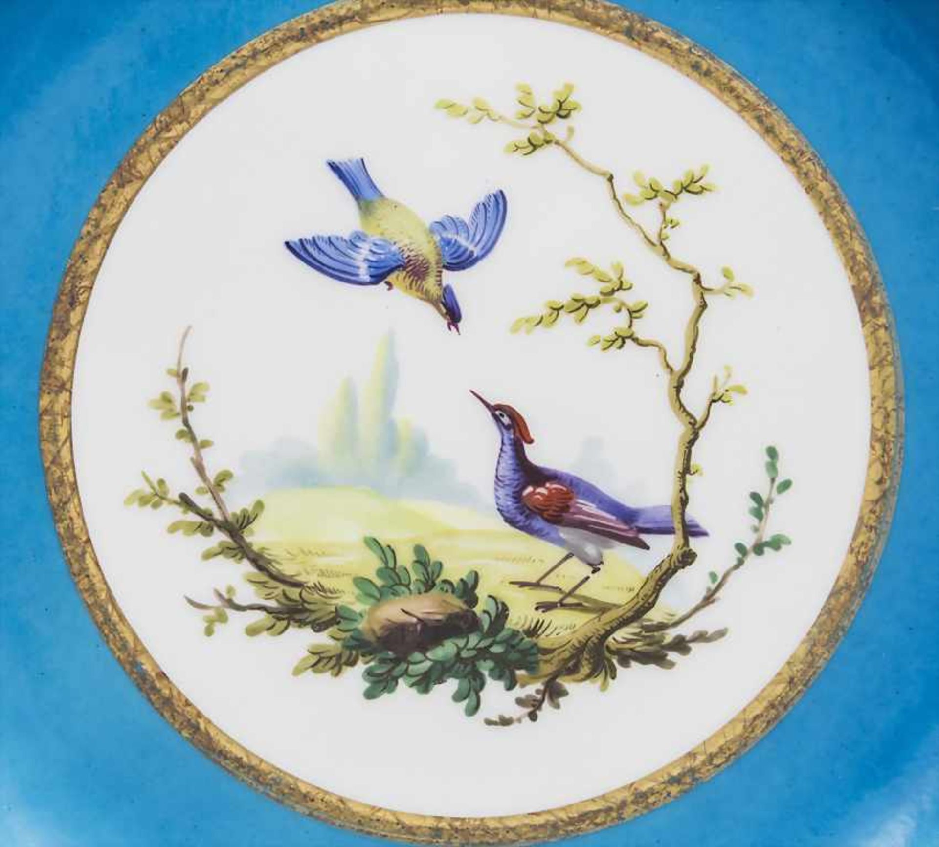 Paar 'Bleu Celeste' Teller mit Vogeldekor / A pair of 'Bleu Celeste' bird plates, Sèvres, - Bild 6 aus 13