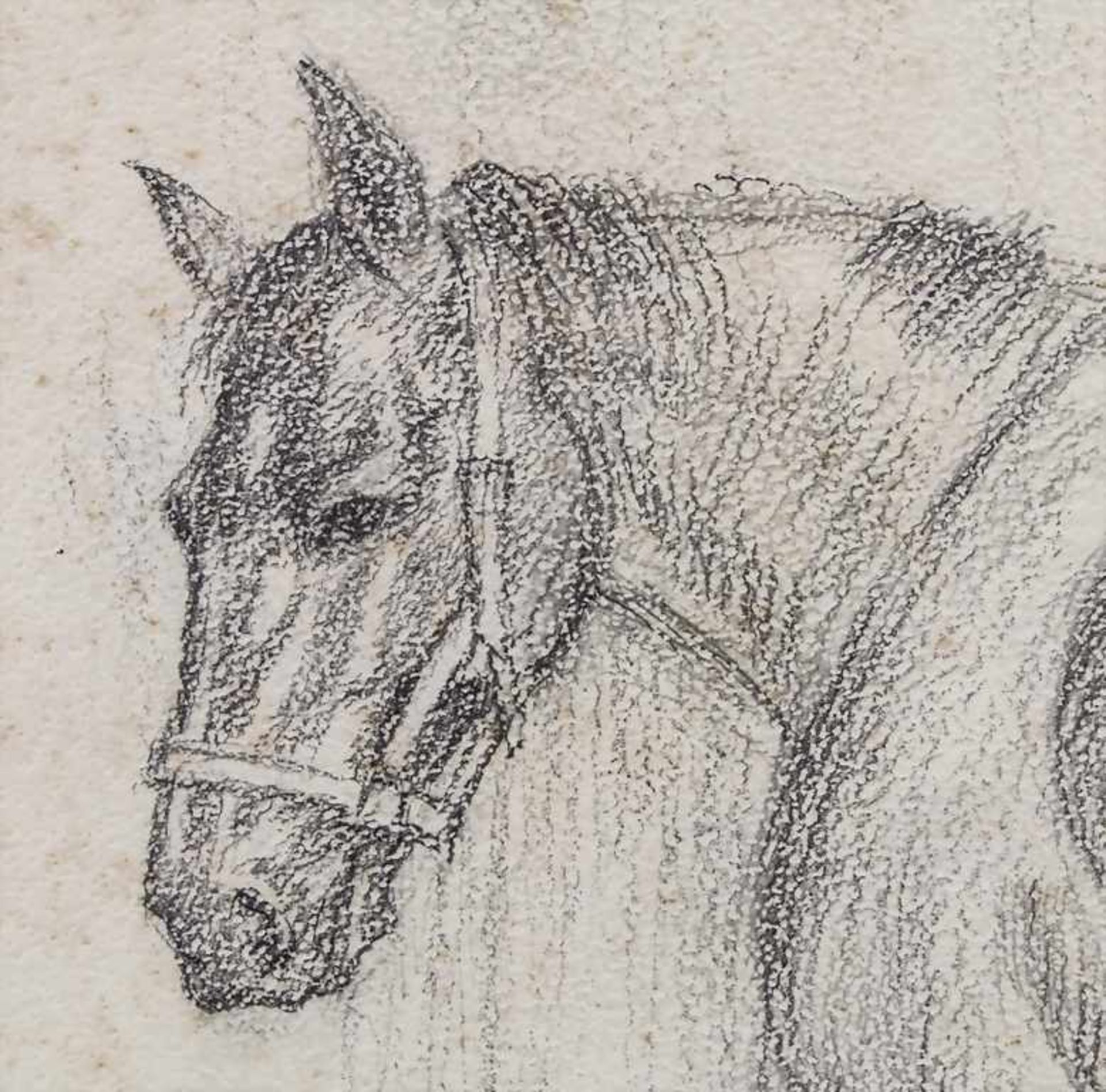 Johann Joseph Hartmann (1753-1830), Pferdeporträt 'Der Ferdl' / A horse portrait 'Ferdl' - Image 3 of 4