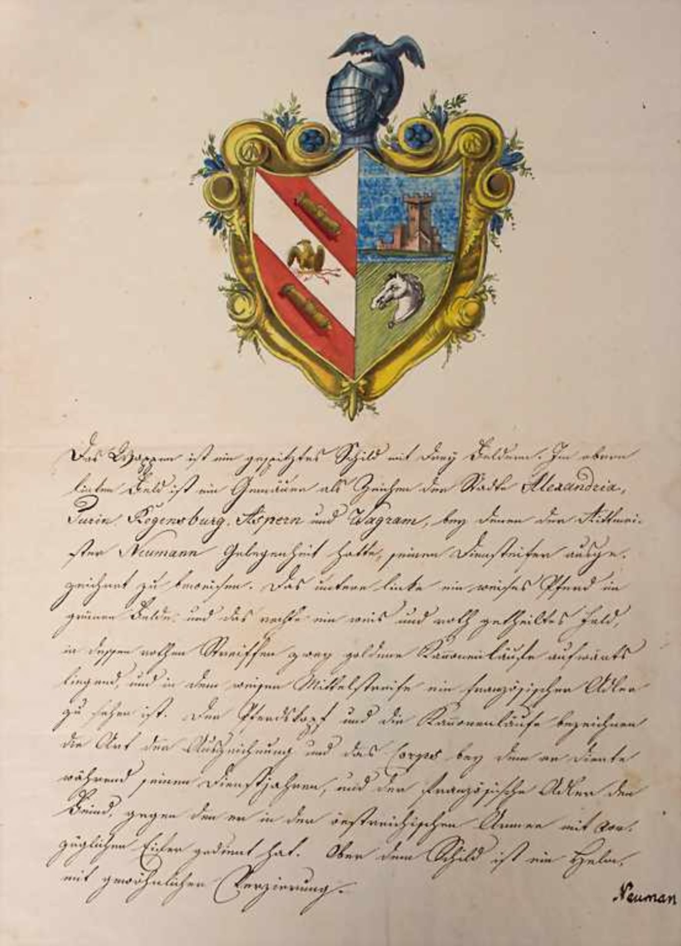 Heraldik: Sammlung 9 Adelswappen / A collection of 9 noble coats of arms, 18. Jh. - Image 5 of 6