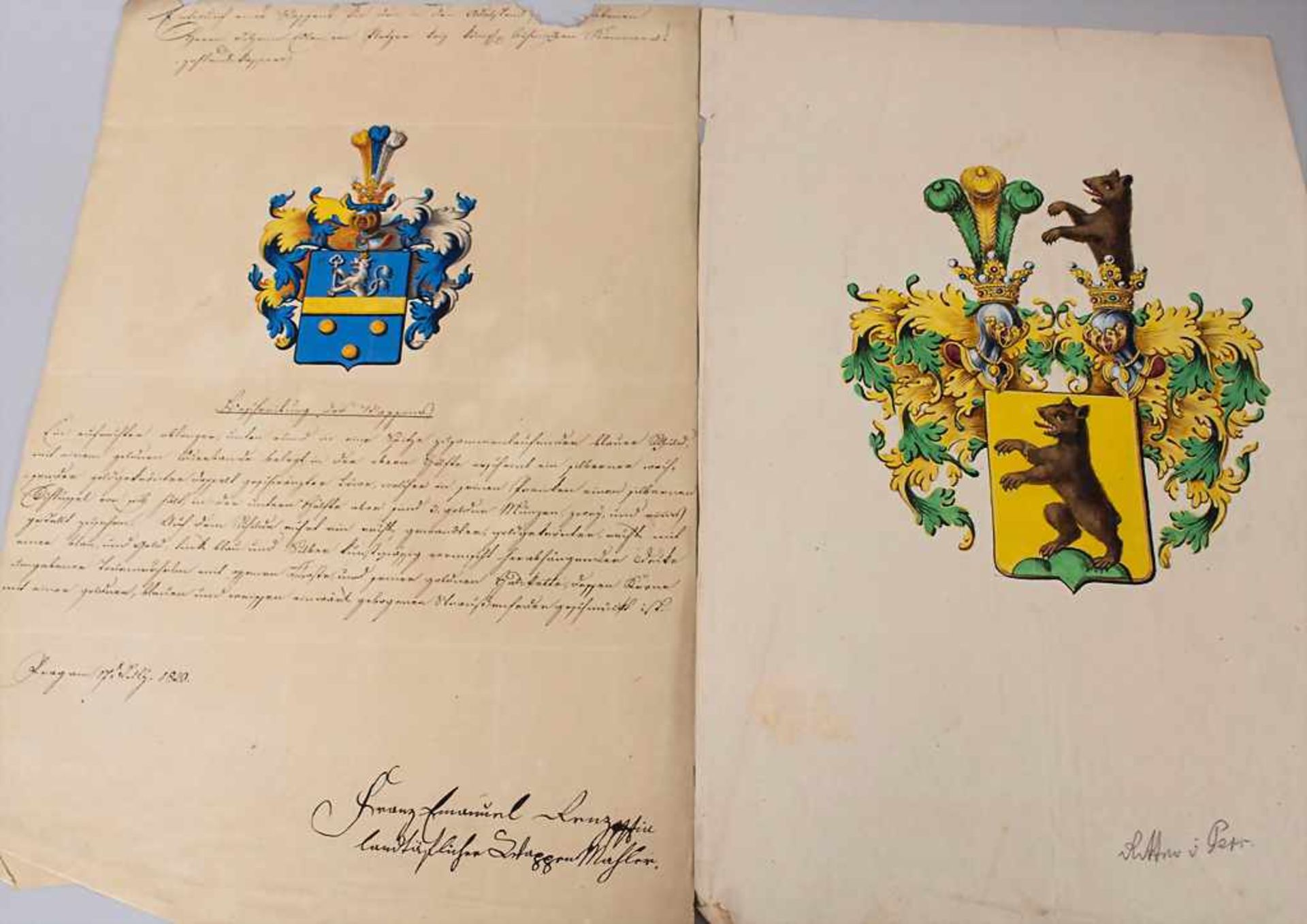 Heraldik: Sammlung 9 Adelswappen / A collection of 9 noble coats of arms, 18. Jh. - Bild 4 aus 6