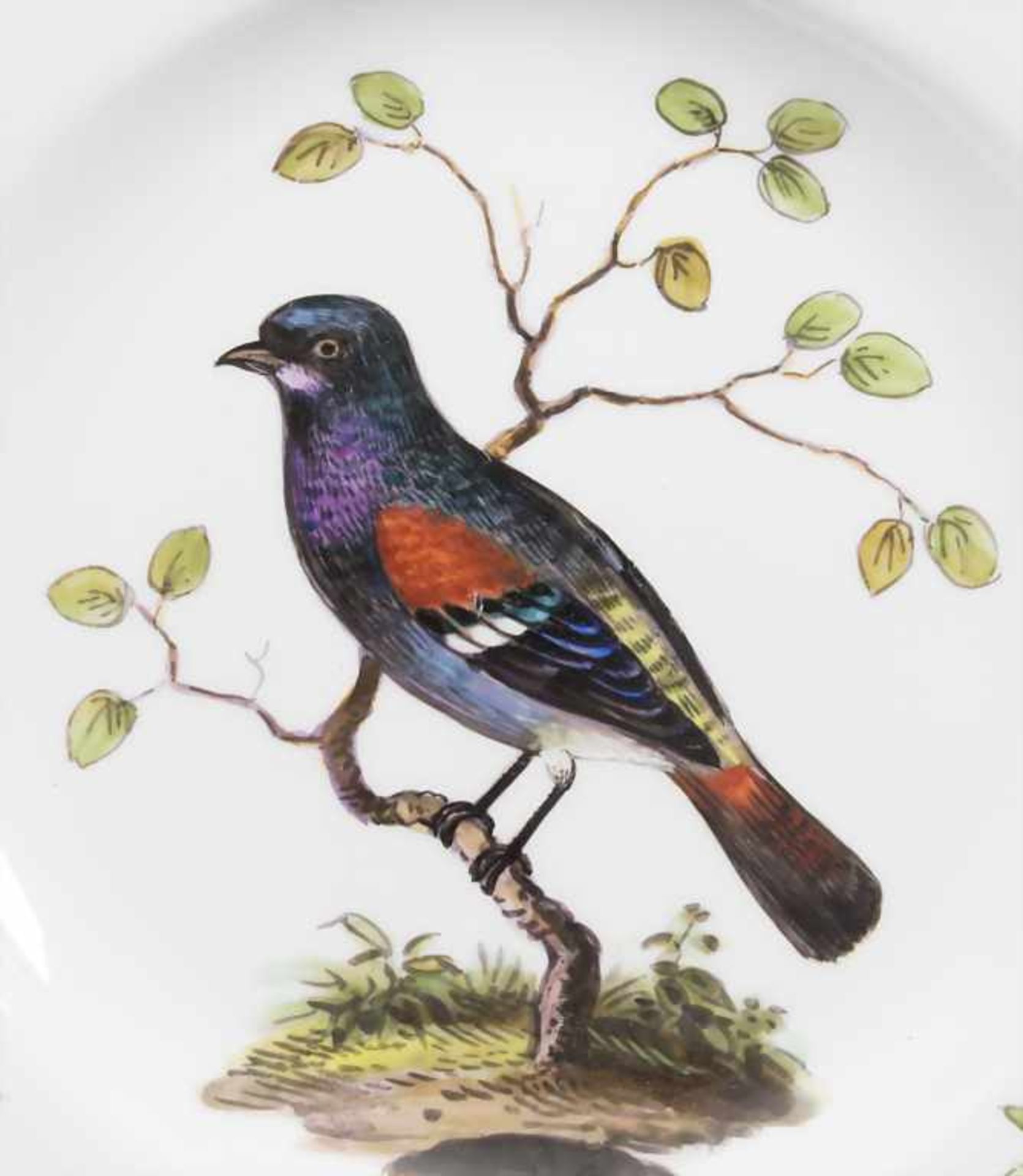 Teller mit Vogelmalerei / A plate with a bird, Meissen, um 1880 - Image 2 of 5