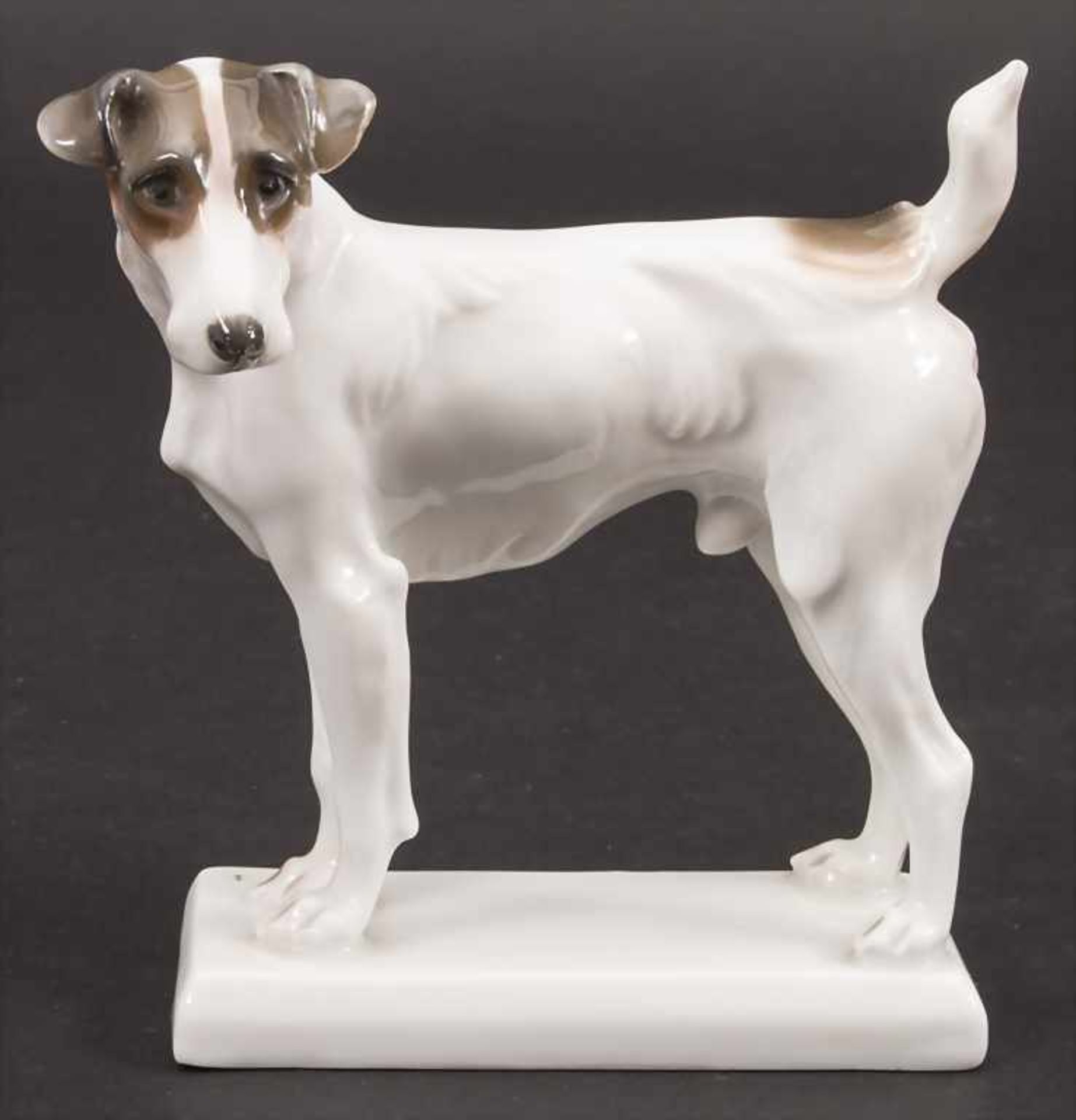 Stehender Terrier / A standing terrier, Rosenthal, Selb, um 1930
