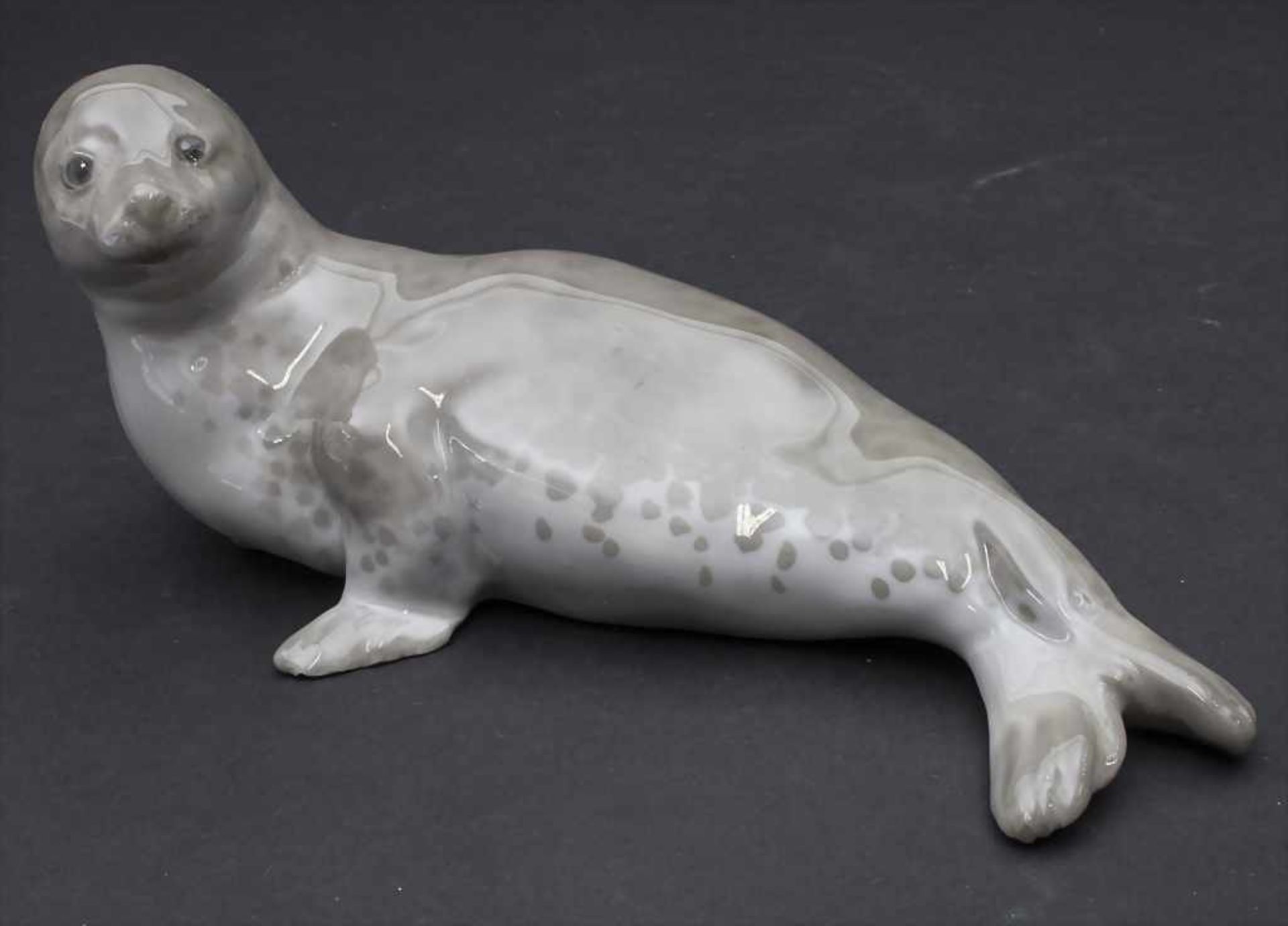 Ringelrobbe / A ringed seal, Karl Ens, Volkstedt-Rudolstadt, um 1900