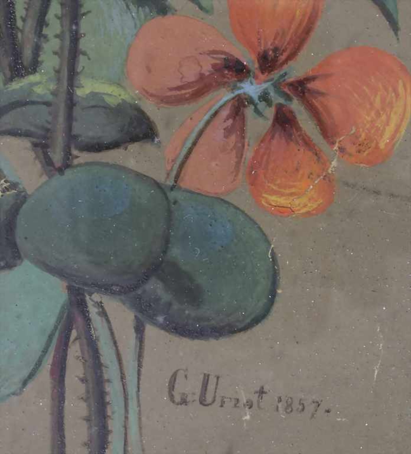 G. Uriot (tätig um 1857), 'Blumenstrauß' / 'A bouquet of flowers' - Image 3 of 4