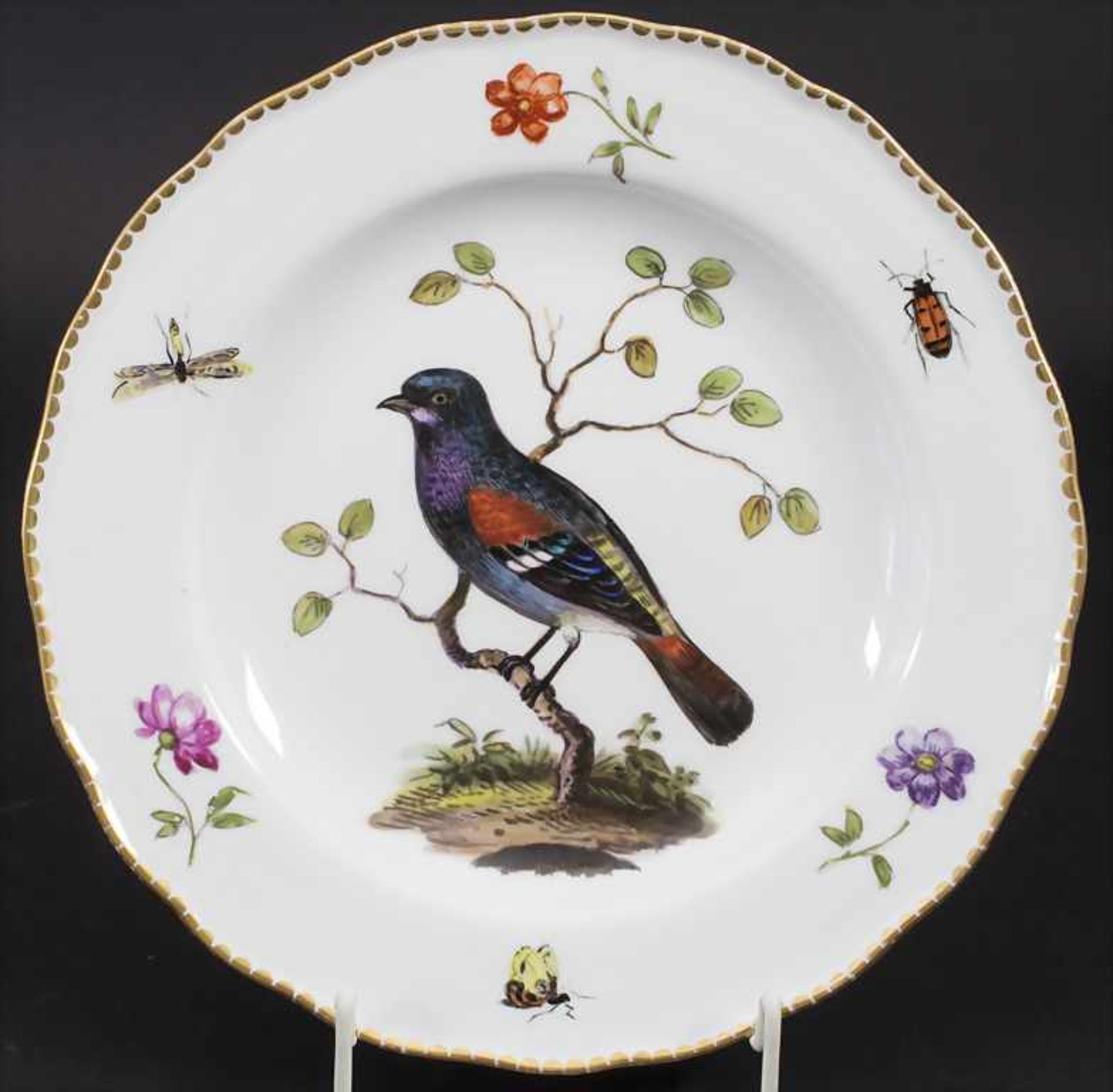 Teller mit Vogelmalerei / A plate with a bird, Meissen, um 1880