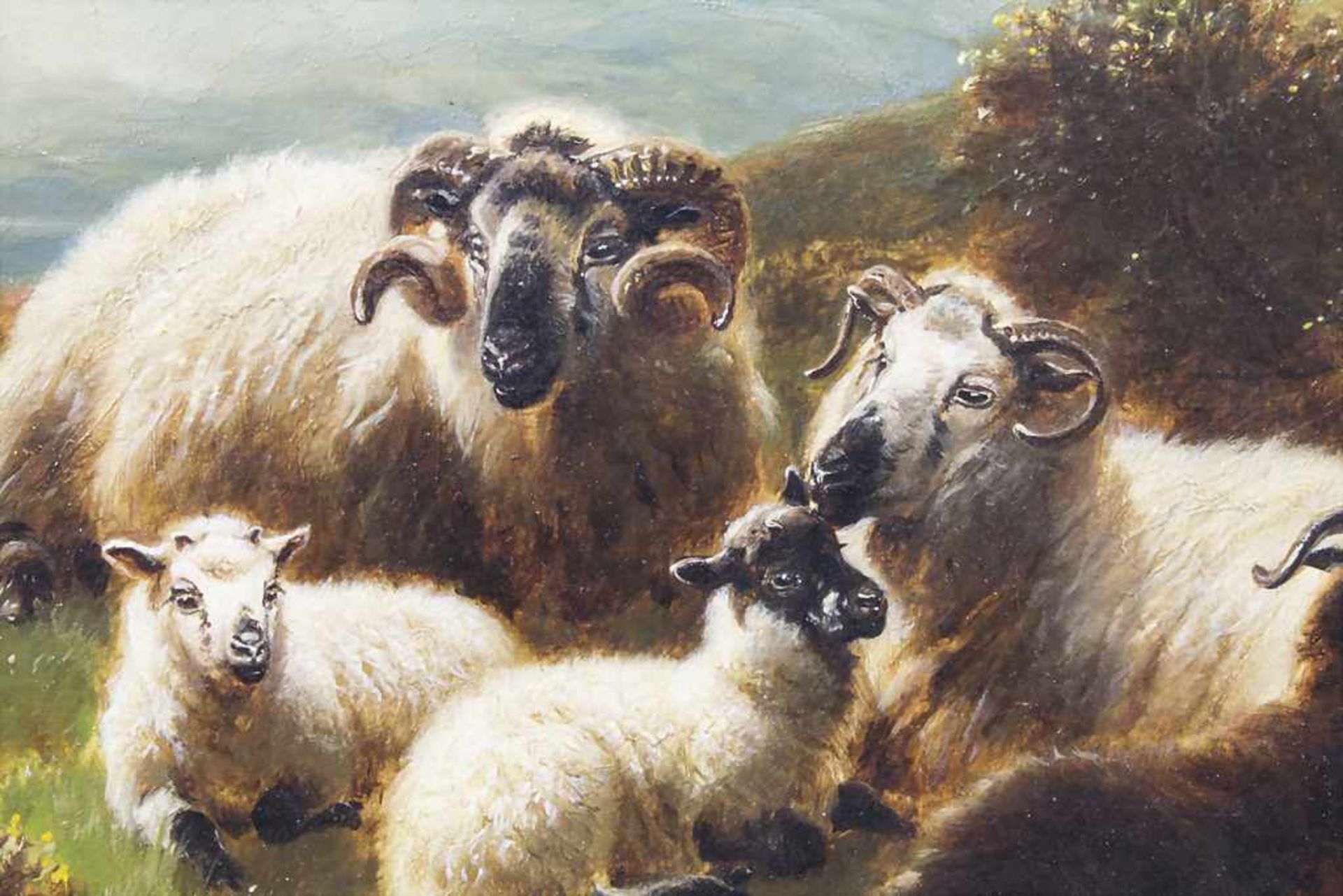 William II Watson (1831-1921), 'Hochlandschafe vor Loch Awe' / 'Highland sheep in front of Loch - Bild 4 aus 7