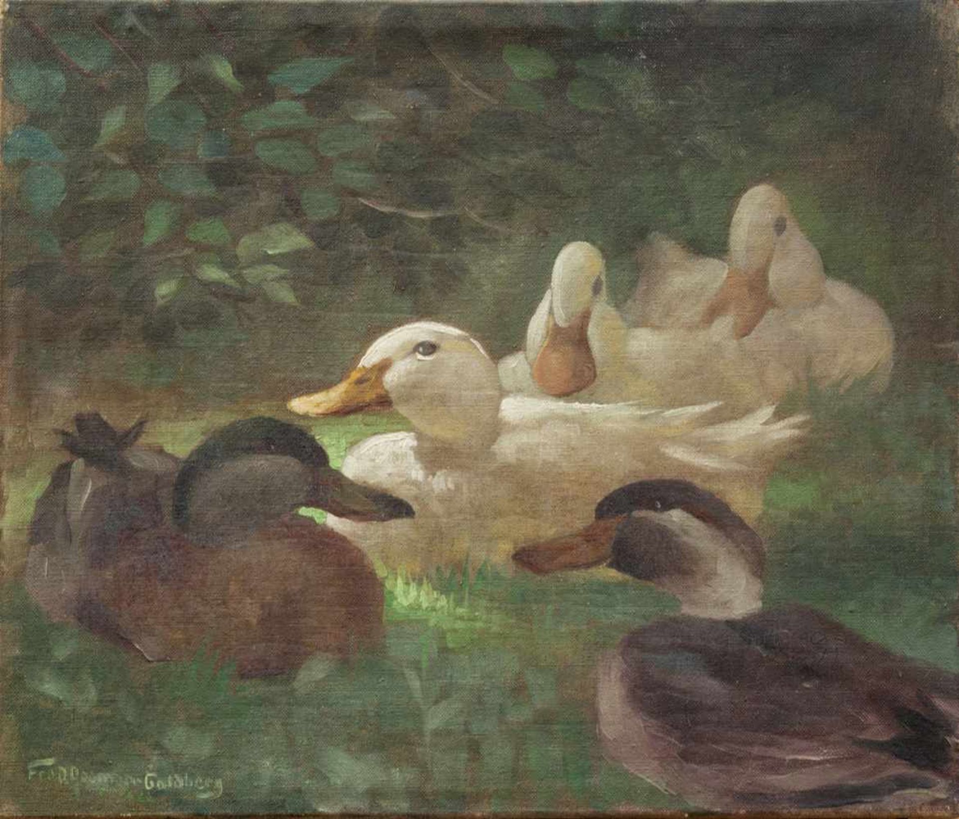 Fred Daaman-Goldberg(Amerikanischer Maler d. 19./20. Jh.)EntenfamilieÖl/ Leinwand, 38 x 44 cm,