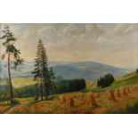 Hermann Richard Otto Knothe, Vogtlandlandschaft