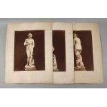 Drei großformatige Fotografien Venus Medici<
