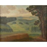 Bernhard Paul Mehnert, "Erzgebirgslandschaft"