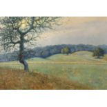 A. Rasmussen, Weite Wiesenlandschaft mit Baum