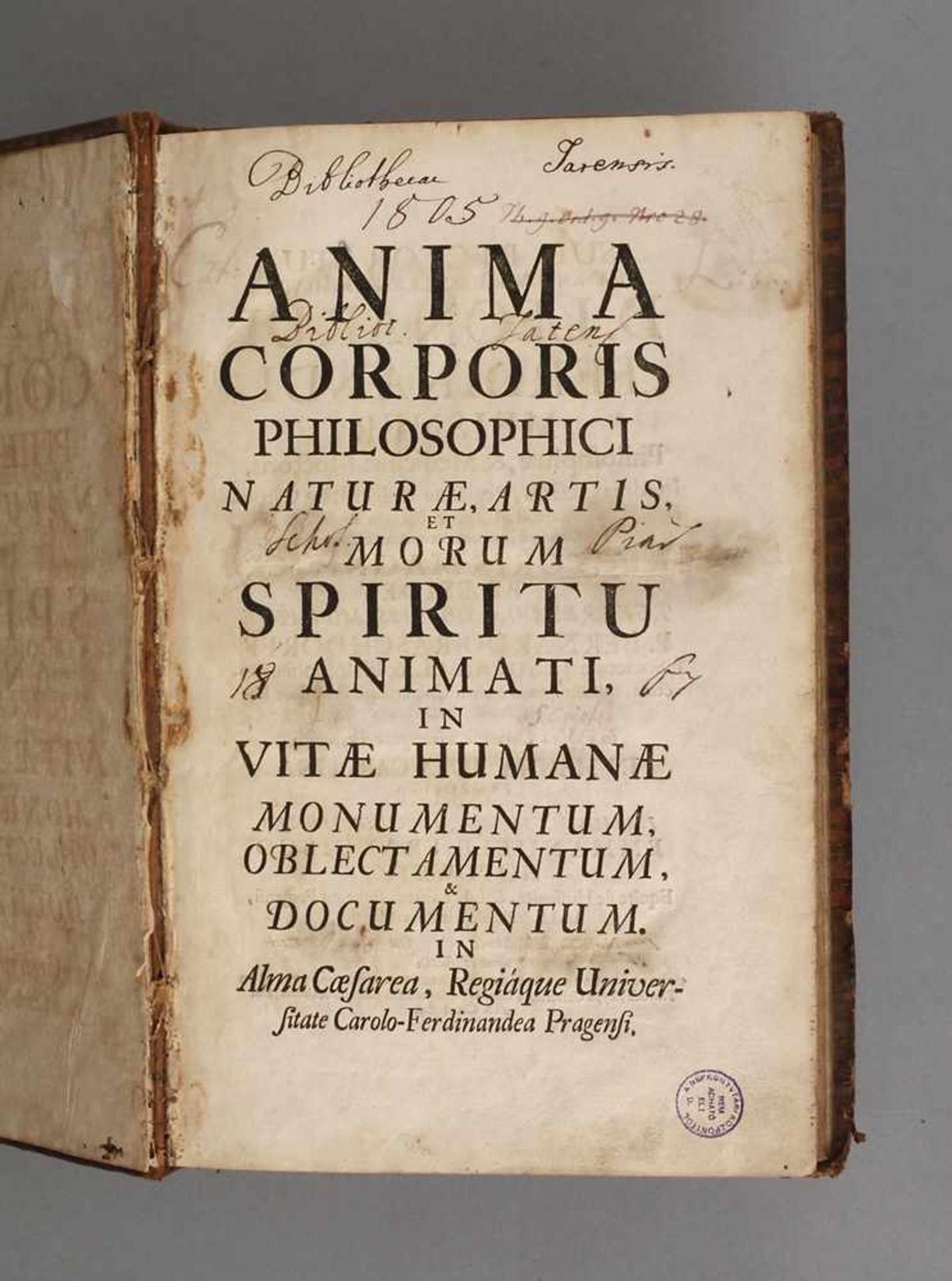 Anima Corporis Philosophici Naturaeartis et morum spiritu animati in vitae humanae monumentum,