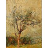 Baum in Sommerlandschafteinzelner Obstbaum, im hellen Licht eines Sommertages, pastose Malerei in