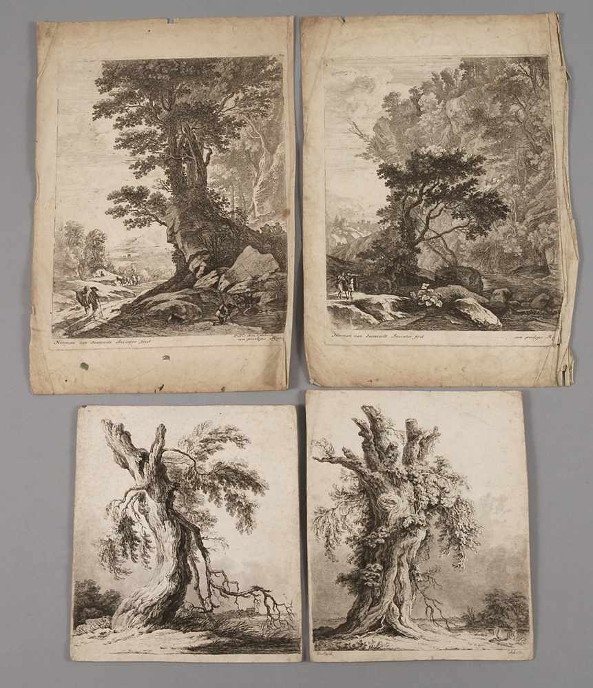 Konvolut Baumdarstellungenvier Blatt mit der Darstellung verschiedener Bäume, Kupferstiche,