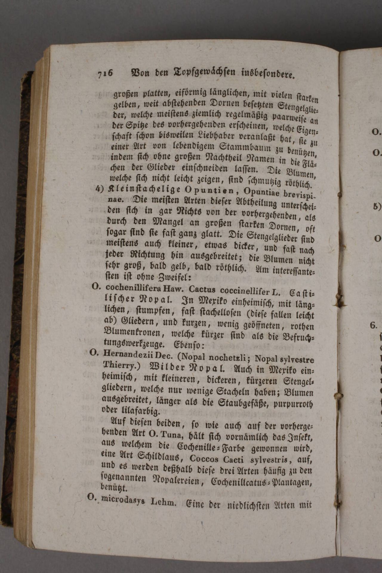 Johann Jakob Walters allgemeines deutsches Gartenbuchoder neue, gemeinnützliche und vollständige - Image 2 of 4