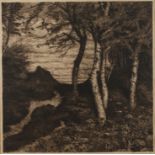 Hans am Ende, Birkenwald mit BauernkateRand eines Birkenwäldchens mit Blick auf eine geduckte
