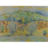 Maximilian Seitz, "Toscana"Blick auf Wiesen und Felder mit vereinzelten Olivenbäumen, getaucht in