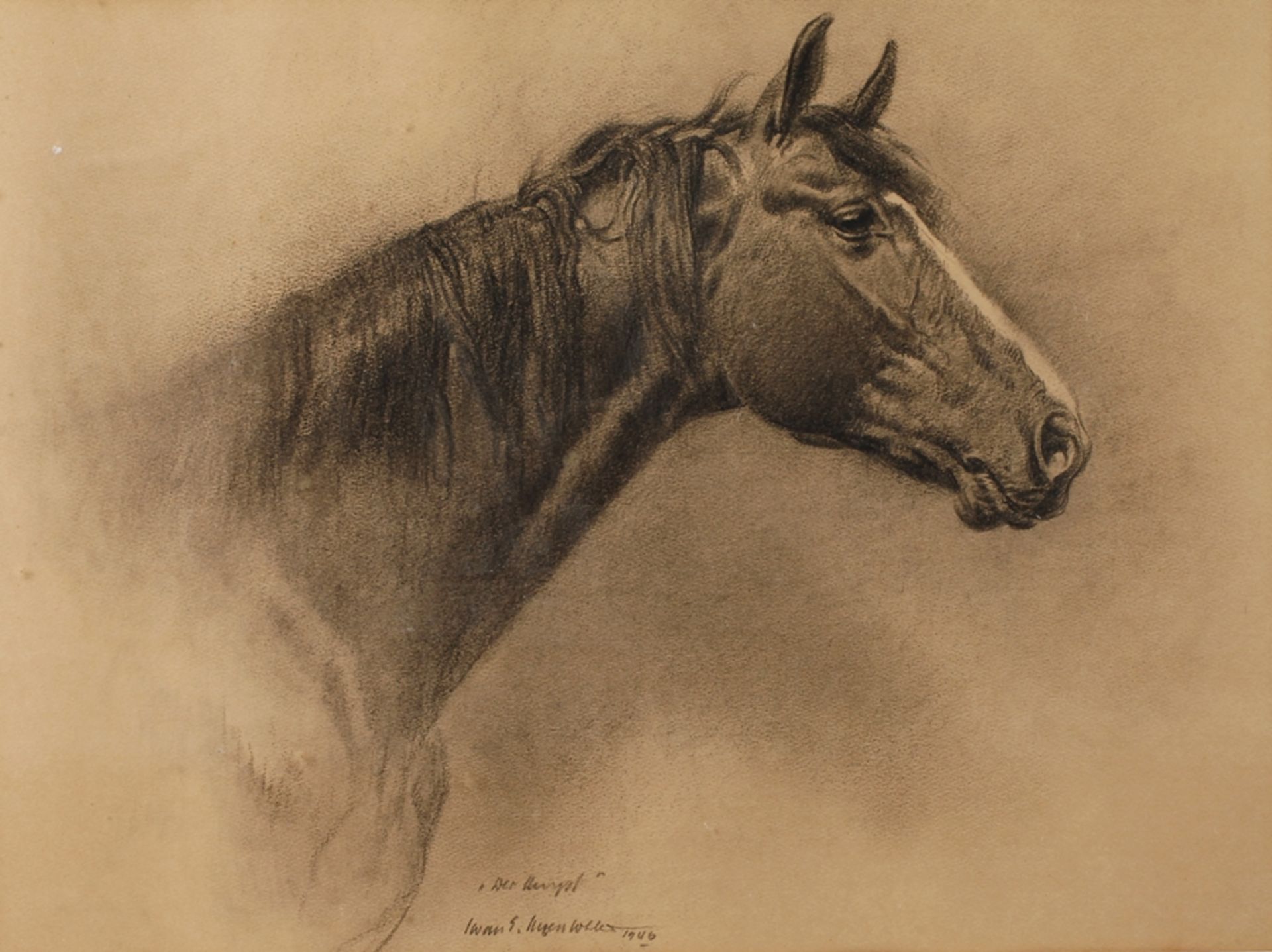 Iwan E. Hugentobler, "Der Hengst"fein naturalistisch ausgeführtes Pferdekopfportrait, Hugentobler