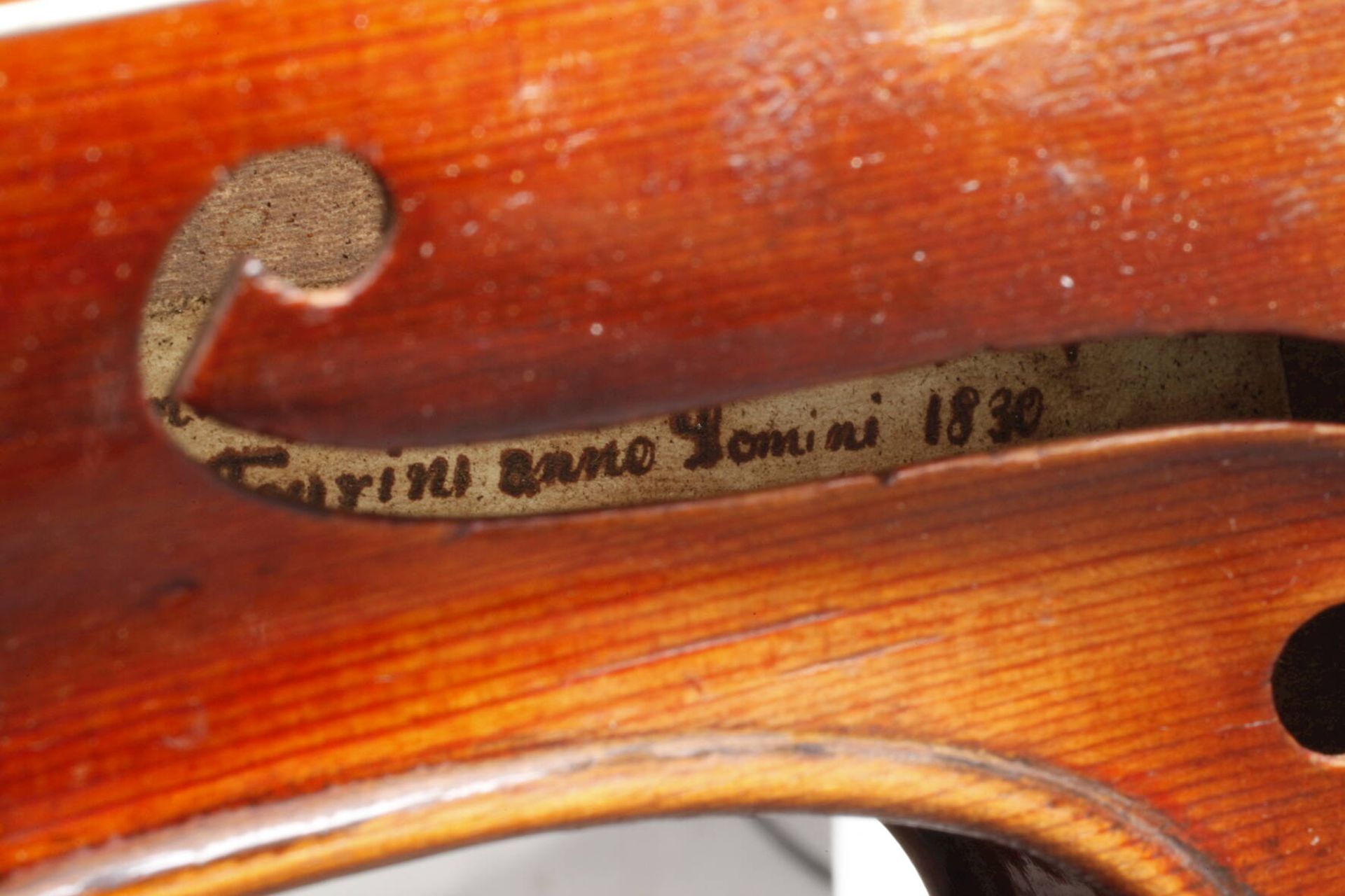 Violineauf Zettel bezeichnet Joannes Franciscus Pressenda p Raphael fecit Taurini anno domini - Bild 7 aus 7