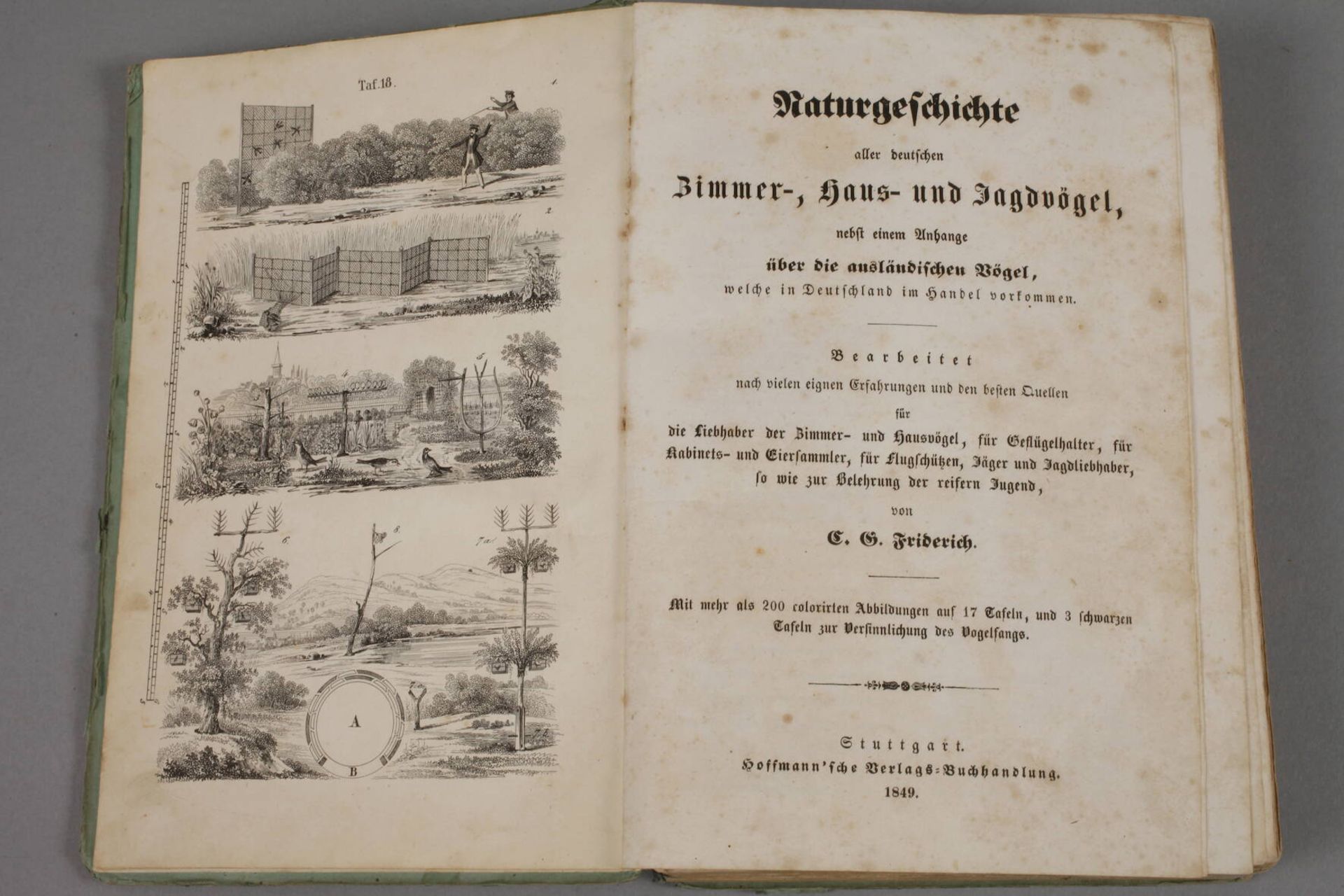 Naturgeschichte aller deutschen Zimmer-, Haus- und Jagdvögelnebst einem Anhange über die - Bild 2 aus 3